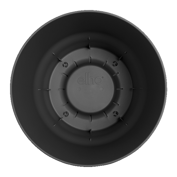 Pot elho Greenville Round zwart en pot  Hauteur 28cm. Plante verte type Pot elho Greenville Round zwart, livrée en pot, idéale pour intérieur lumineux. – Image 4