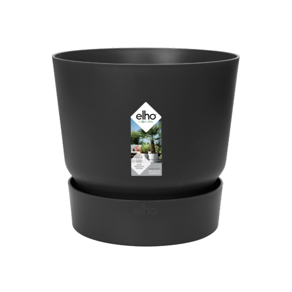 Pot elho Greenville Round zwart en pot  Hauteur 23cm. Plante verte type Pot elho Greenville Round zwart, livrée en pot, idéale pour intérieur lumineux. – Image 2