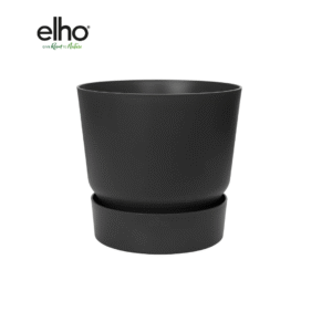 Pot elho Greenville Round zwart en pot  Hauteur 17cm. Plante verte type Pot elho Greenville Round zwart, livrée en pot, idéale pour intérieur lumineux.
