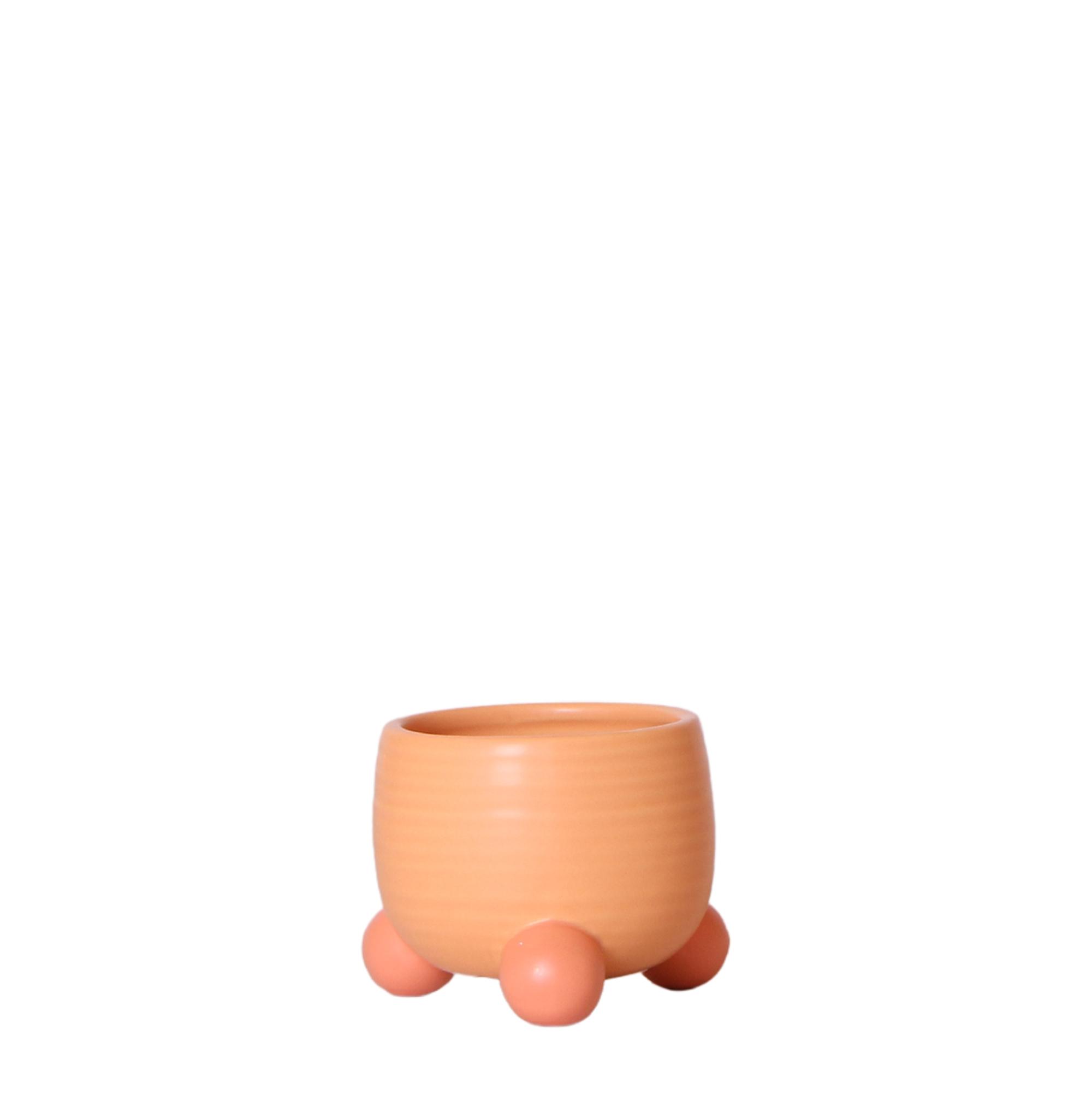 Kolibri Home | Rolling peach bloempot en pot Ø6cm. Plante verte type Kolibri Home | Rolling peach bloempot, livrée en pot, idéale pour intérieur lumineux.