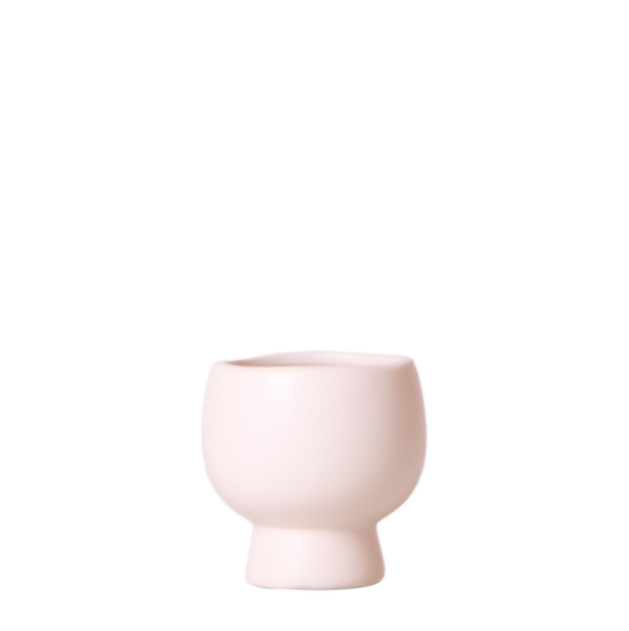 Kolibri Home | Scandic white bloempot en pot Ø6cm. Plante verte type Kolibri Home | Scandic white bloempot, livrée en pot, idéale pour intérieur lumineux.