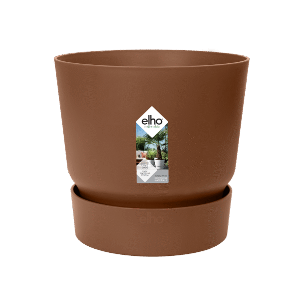 Pot elho Greenville Round bruin en pot  Hauteur 28cm. Plante verte type Pot elho Greenville Round bruin, livrée en pot, idéale pour intérieur lumineux. – Image 2