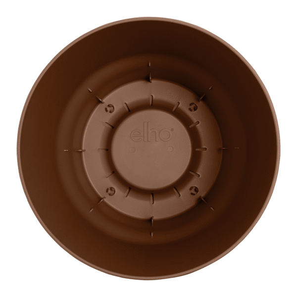 Pot elho Greenville Round bruin en pot  Hauteur 28cm. Plante verte type Pot elho Greenville Round bruin, livrée en pot, idéale pour intérieur lumineux. – Image 4