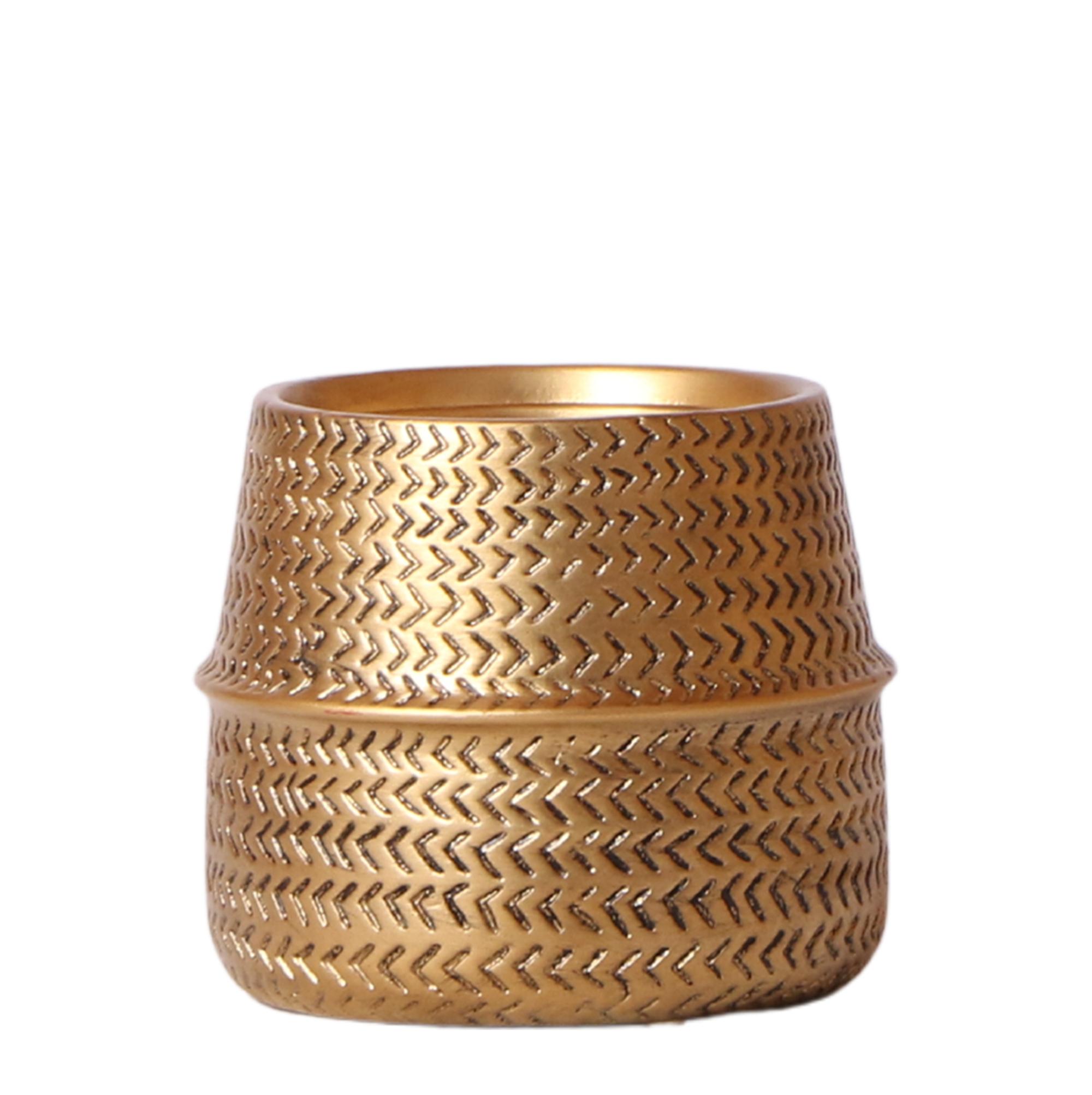 Kolibri Home | Groove bloempot en pot Ø9cm. Plante verte type Kolibri Home | Groove bloempot, livrée en pot, idéale pour intérieur lumineux.