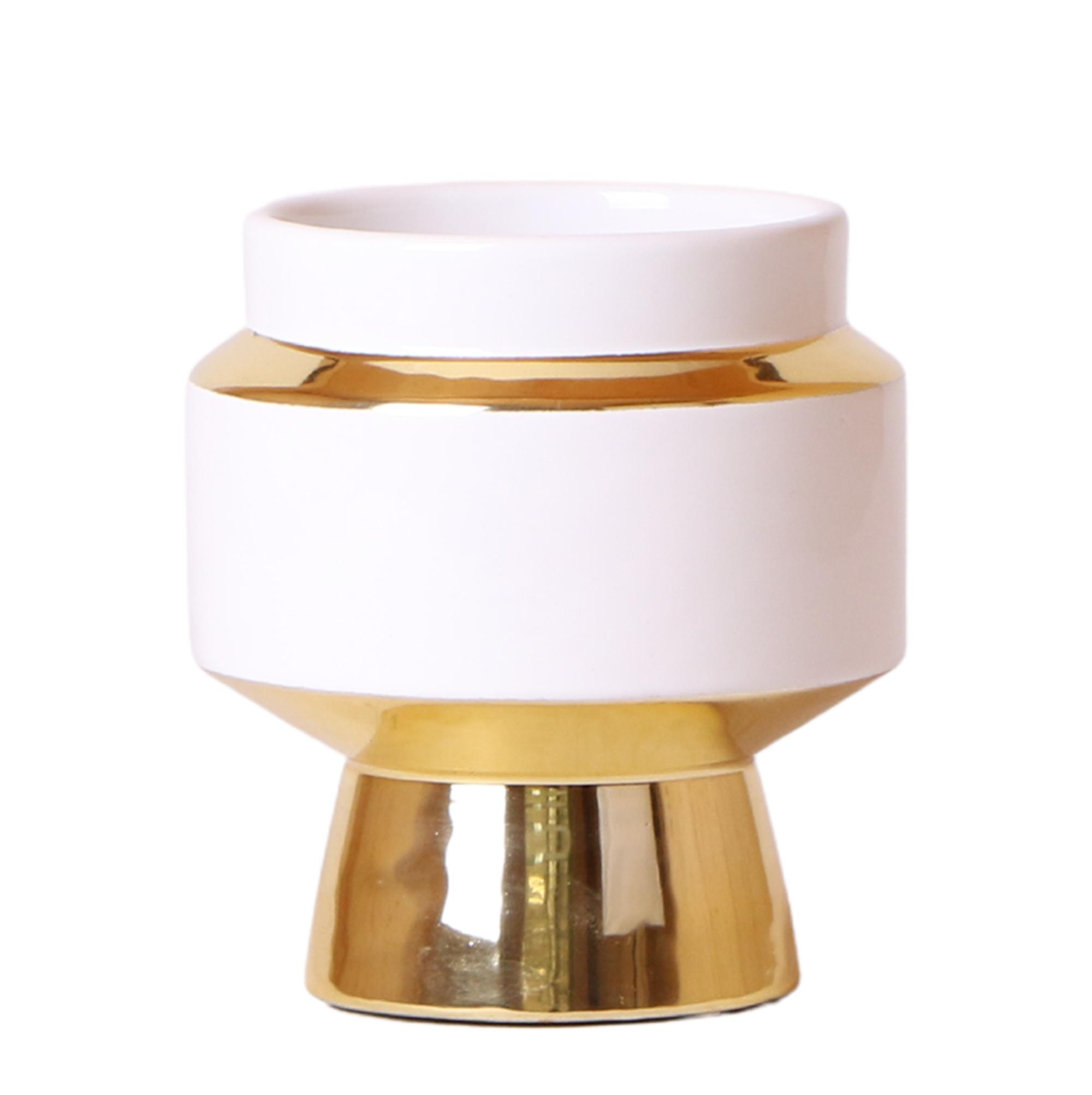 Kolibri Home | Le Chic bloempot en pot Ø9cm. Plante verte type Kolibri Home | Le Chic bloempot, livrée en pot, idéale pour intérieur lumineux.