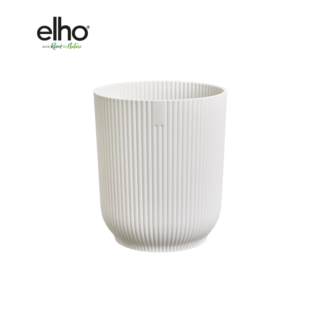 Pot elho Vibes Orchid wit D13 x H15 en pot  Hauteur 15cm. Plante verte type Pot elho Vibes Orchid wit D13 x H15, livrée en pot, idéale pour intérieur lumineux.