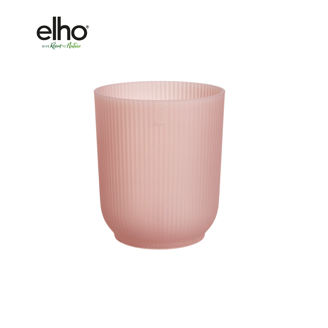 Pot elho Vibes Orchid roze D13 x H15 en pot  Hauteur 15cm. Plante verte type Pot elho Vibes Orchid roze D13 x H15, livrée en pot, idéale pour intérieur lumineux.