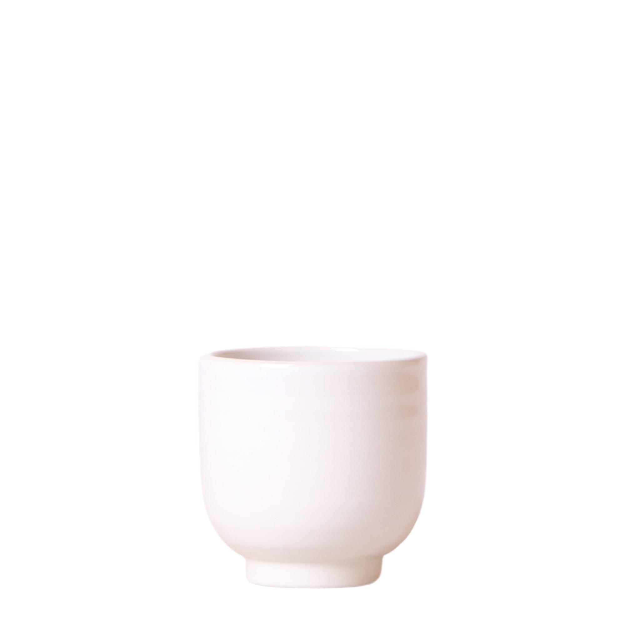 Kolibri Home | Glazed bloempot en pot Ø6cm. Plante verte type Kolibri Home | Glazed bloempot, livrée en pot, idéale pour intérieur lumineux.