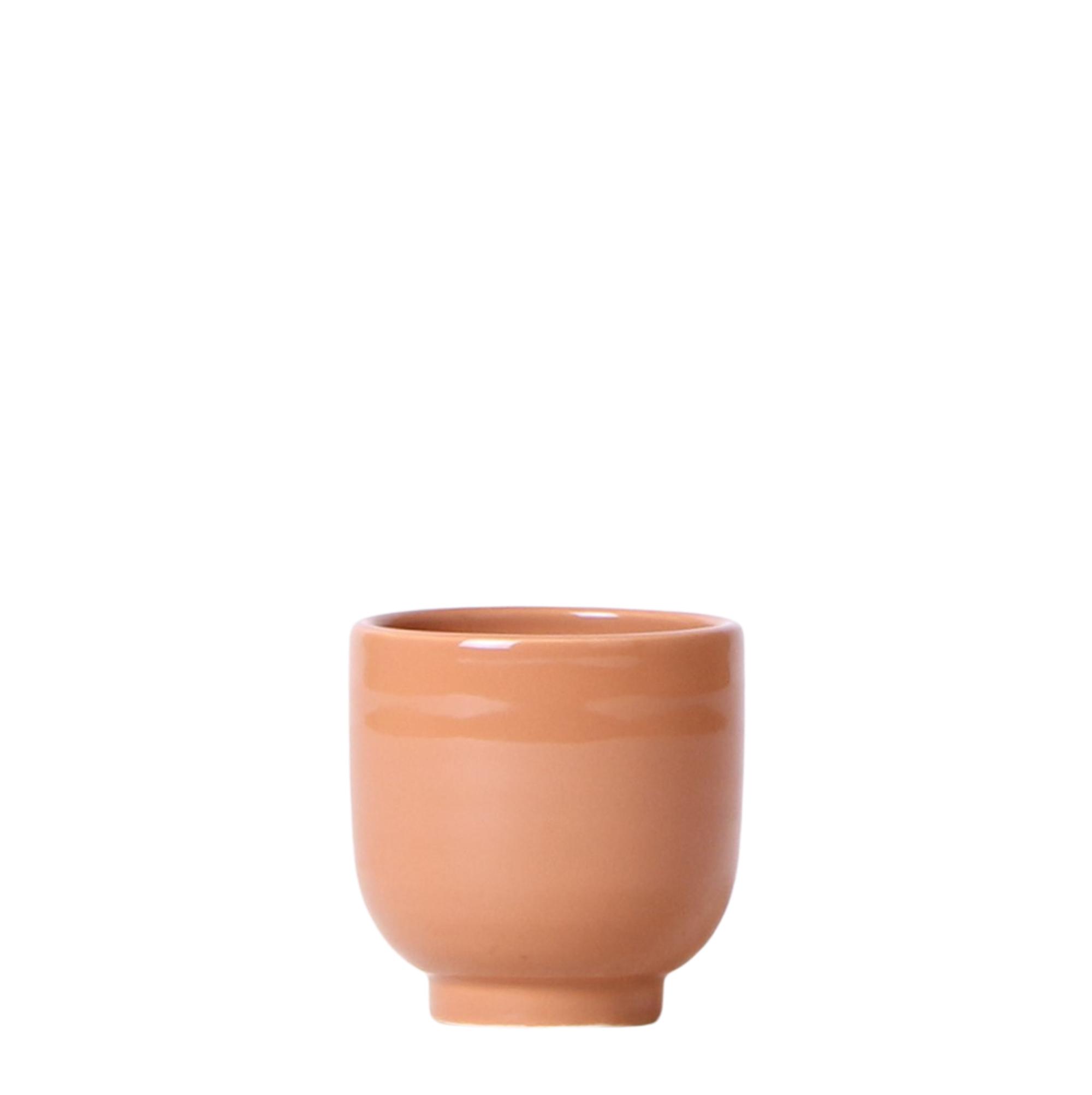 Kolibri Home | Glazed bloempot en pot Ø6cm. Plante verte type Kolibri Home | Glazed bloempot, livrée en pot, idéale pour intérieur lumineux.