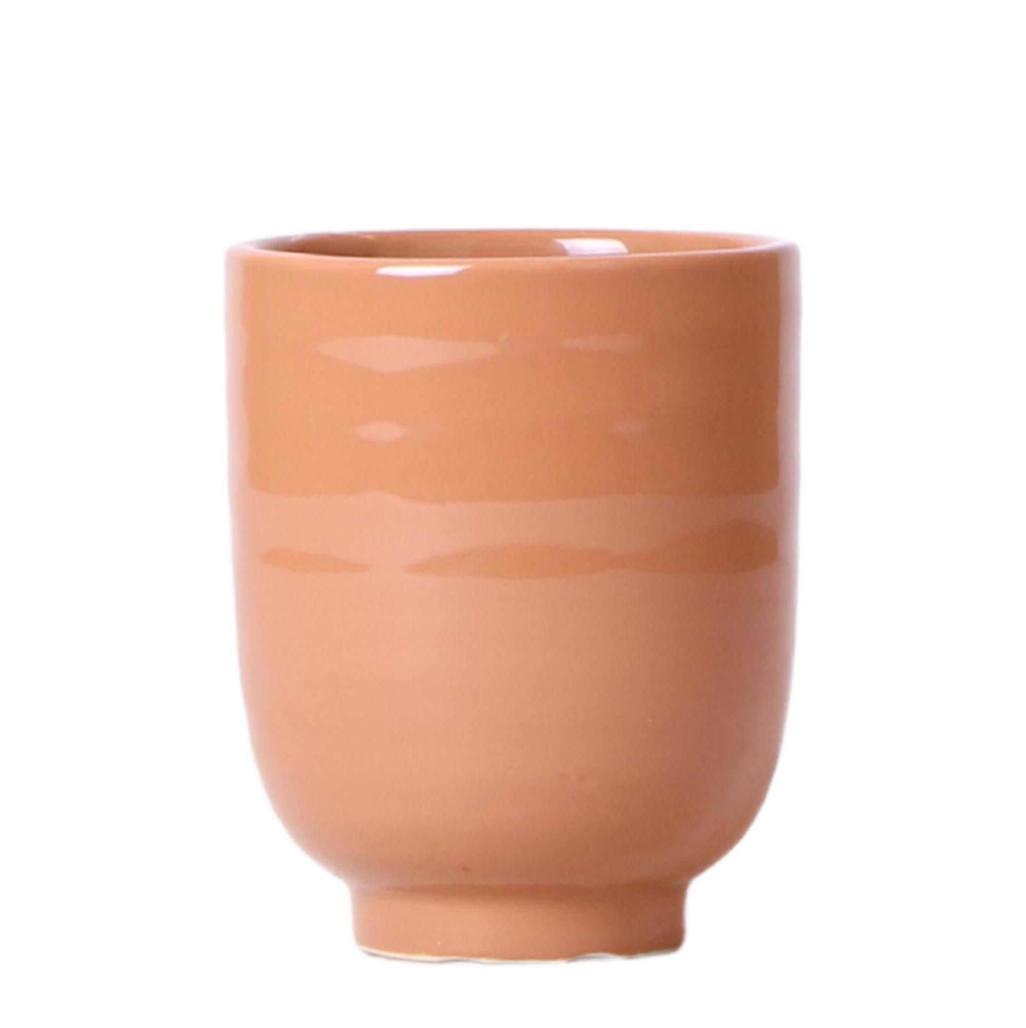 Kolibri Home | Glazed bloempot en pot Ø9cm. Plante verte type Kolibri Home | Glazed bloempot, livrée en pot, idéale pour intérieur lumineux.