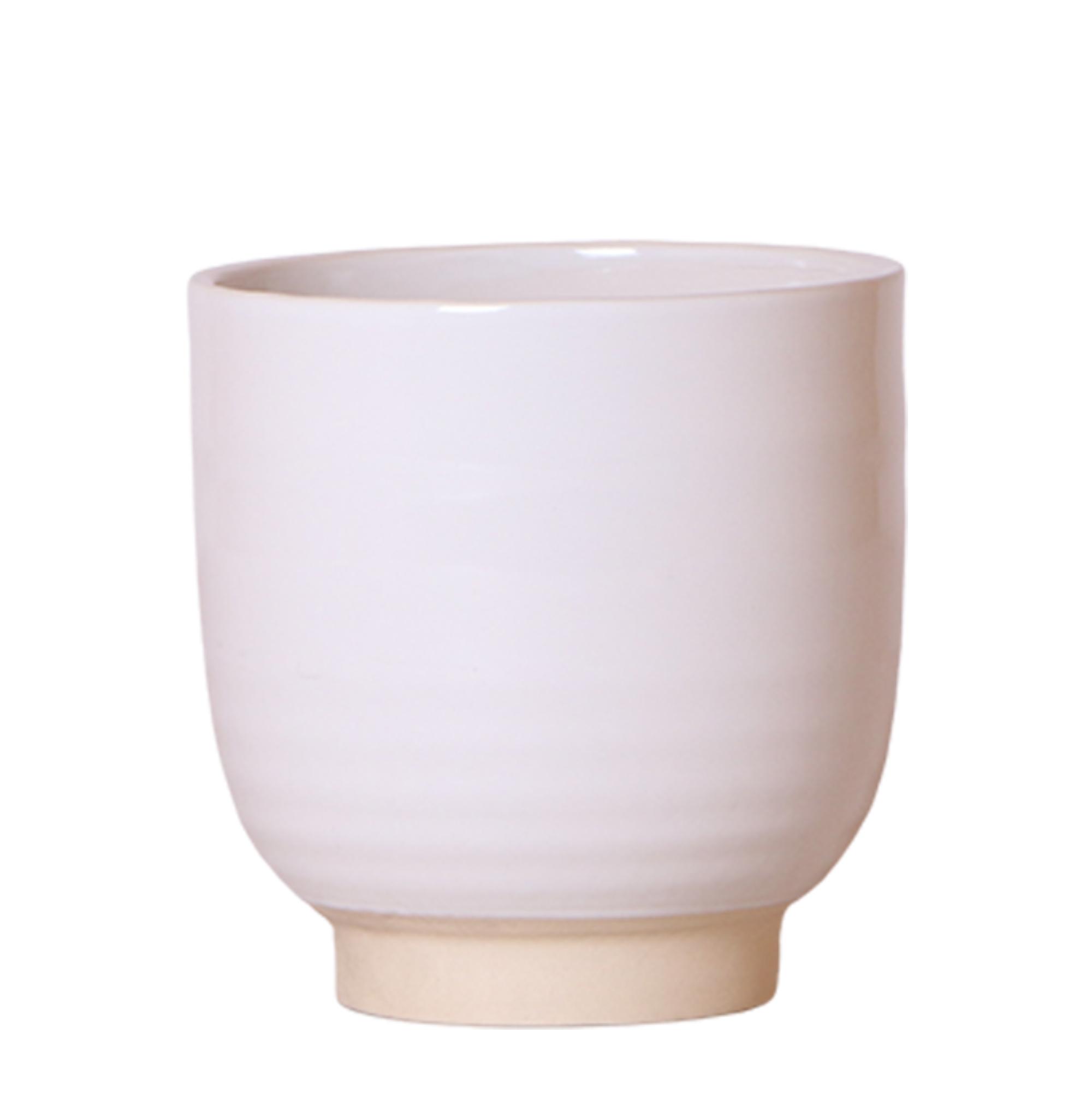 Kolibri Home | Glazed bloempot en pot Ø12cm. Plante verte type Kolibri Home | Glazed bloempot, livrée en pot, idéale pour intérieur lumineux.