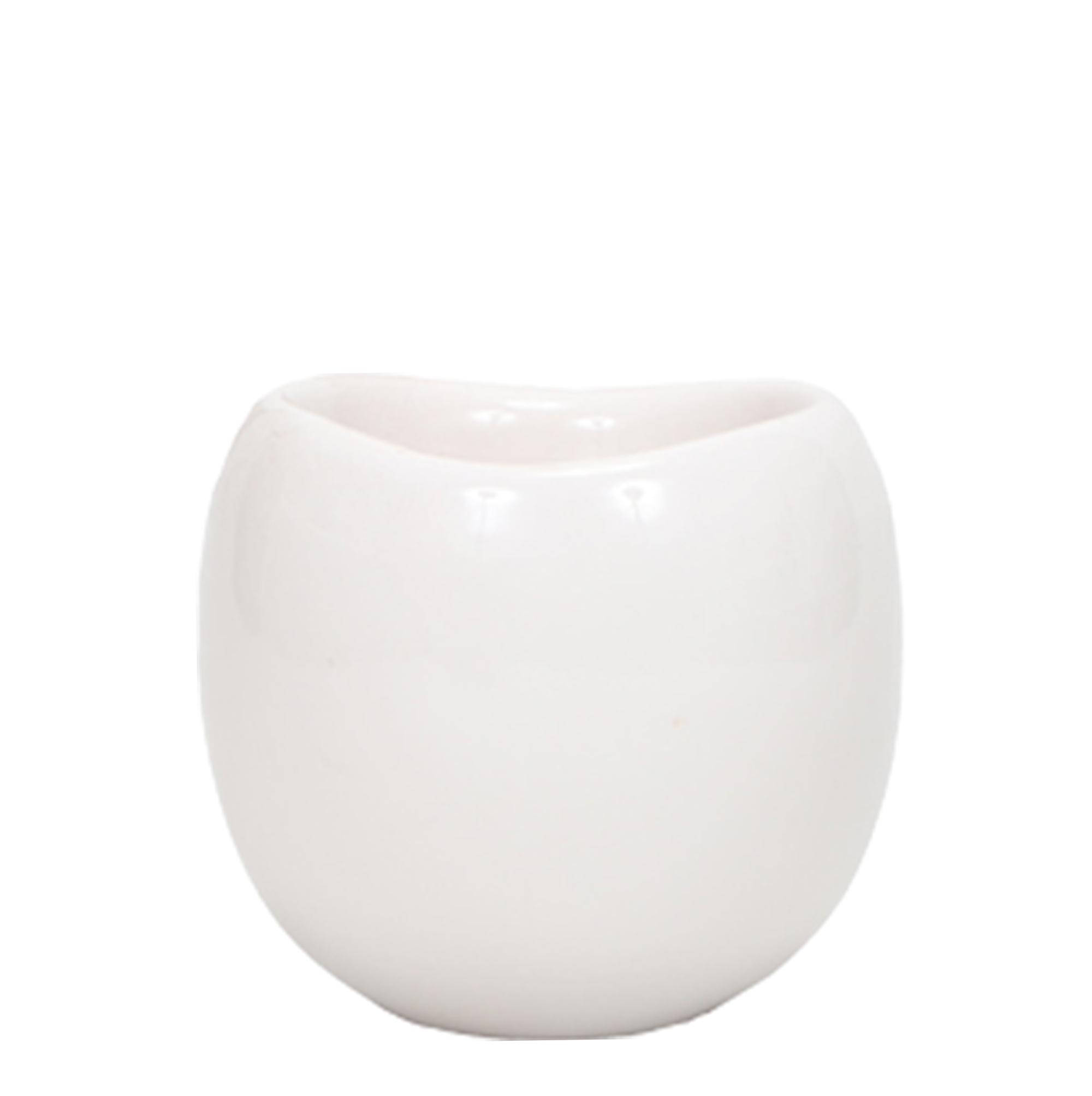 Kolibri Home | Bowl bloempot en pot Ø9cm. Plante verte type Kolibri Home | Bowl bloempot, livrée en pot, idéale pour intérieur lumineux.