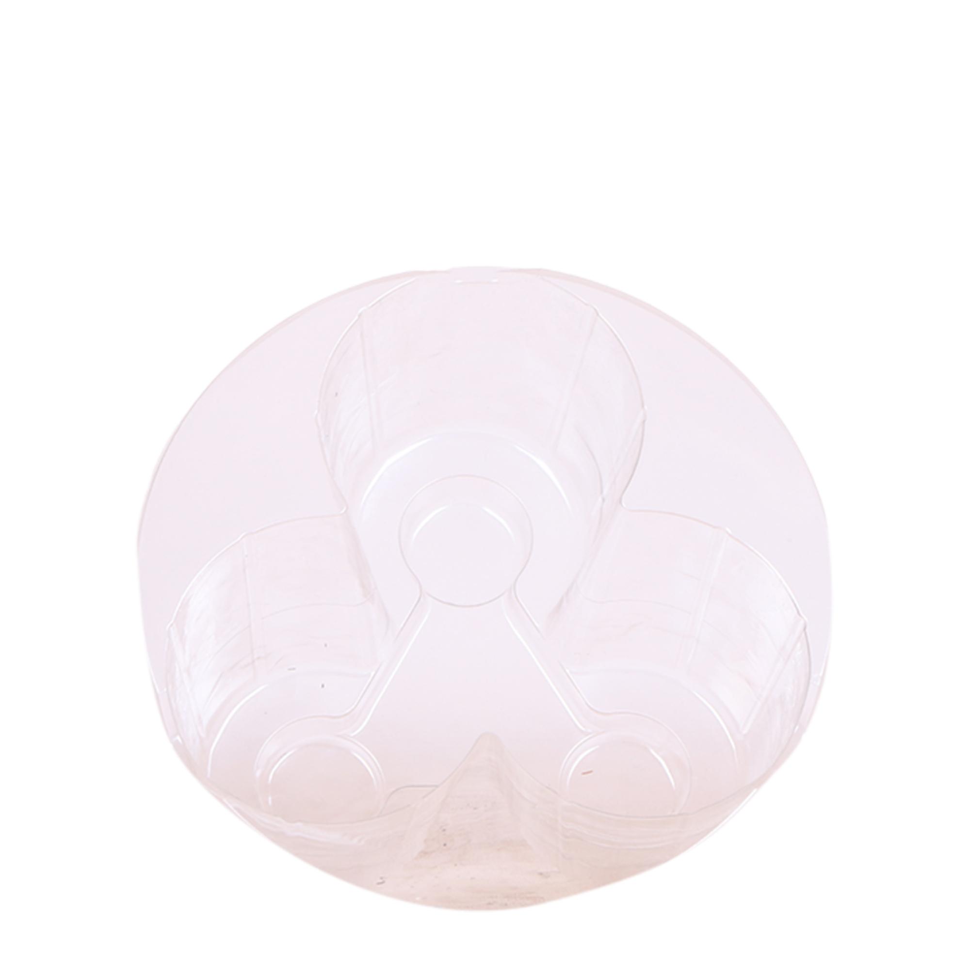 Kolibri Home en pot Ø25cm. Plante verte type Kolibri Home, livrée en pot, idéale pour intérieur lumineux.