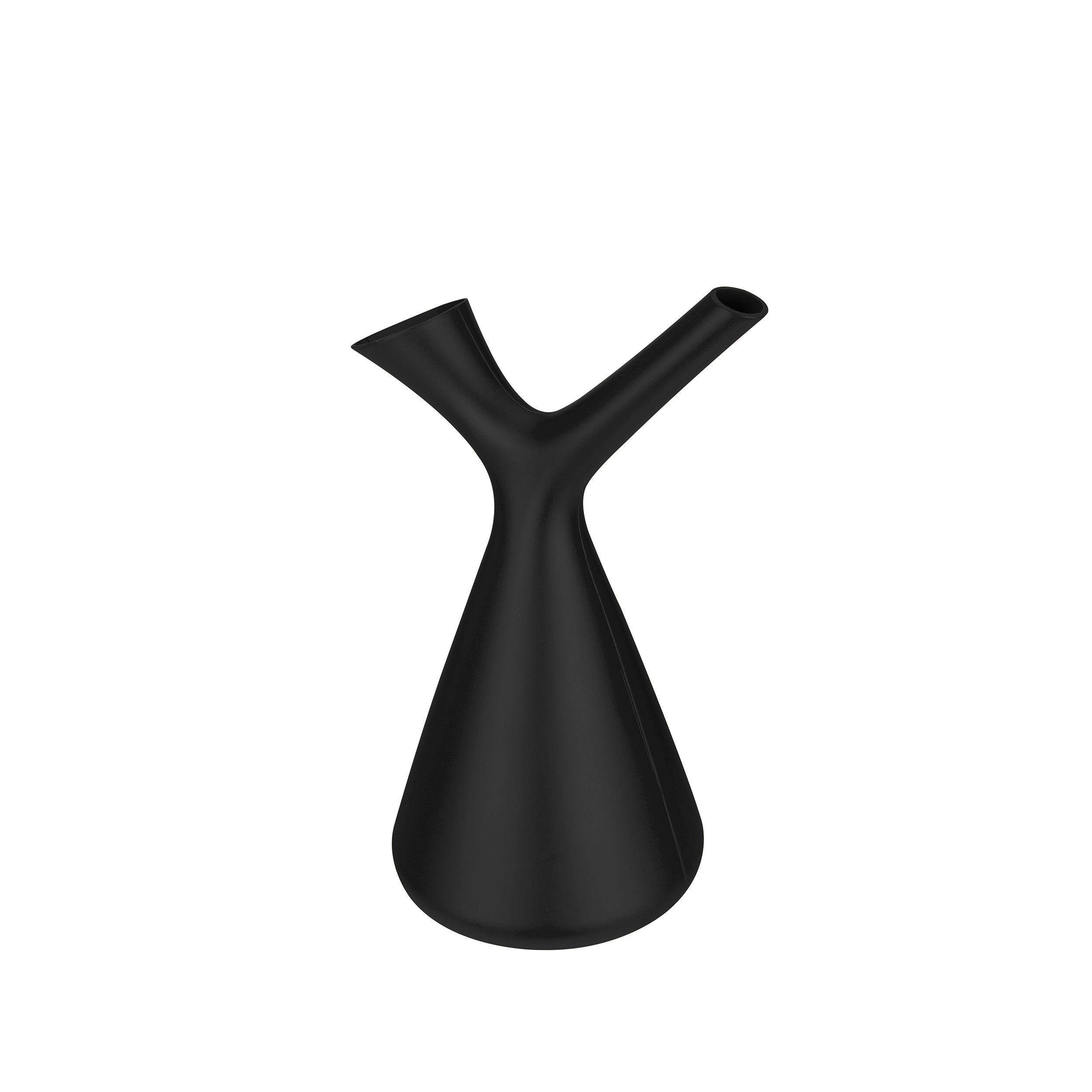 Plunge gieter 1,7L Antraciet en pot. Plante verte type Plunge gieter 1,7L Antraciet, livrée en pot, idéale pour intérieur lumineux.