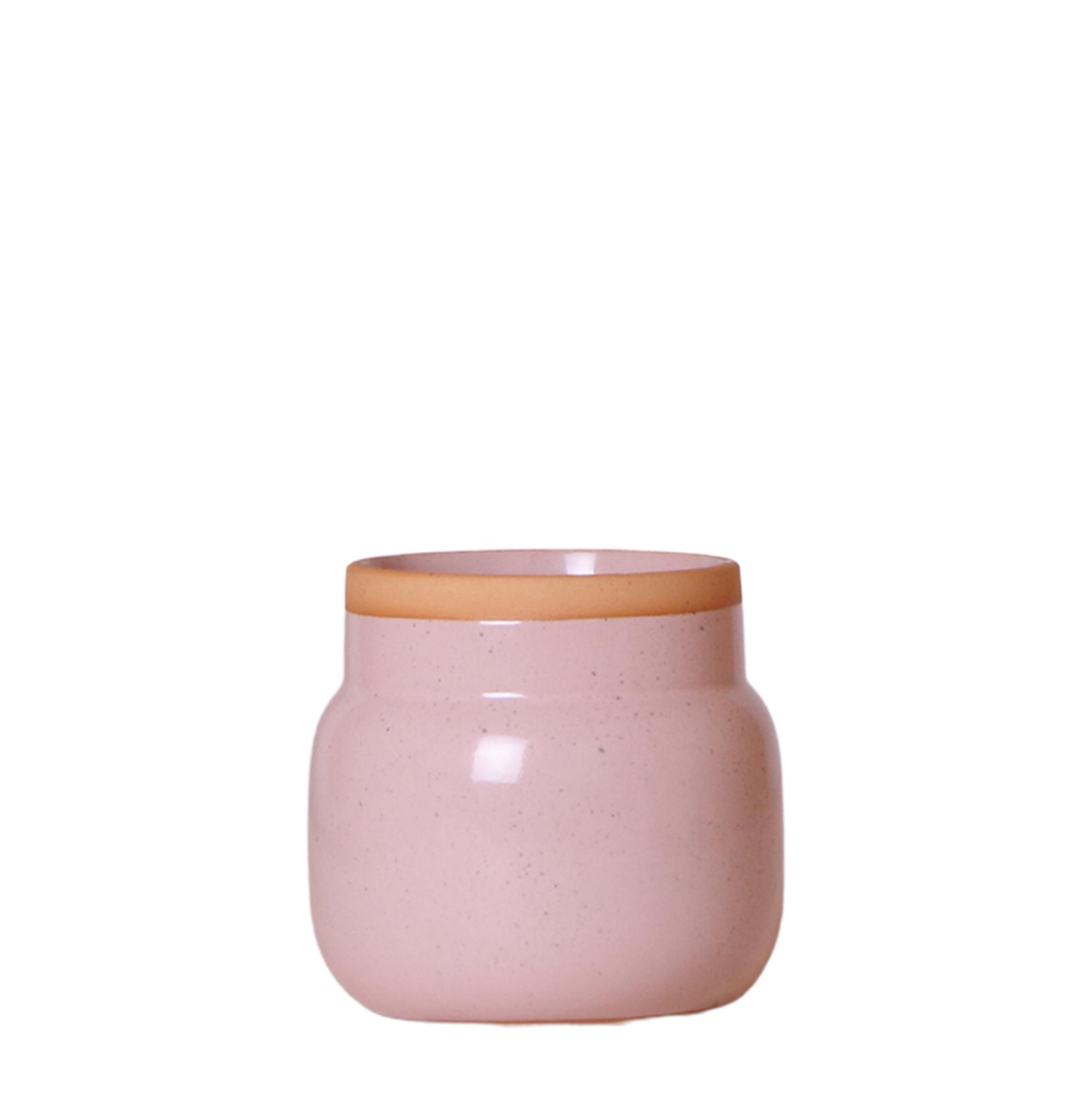 Kolibri Home | Vintage bloempot en pot Ø9cm. Plante verte type Kolibri Home | Vintage bloempot, livrée en pot, idéale pour intérieur lumineux.