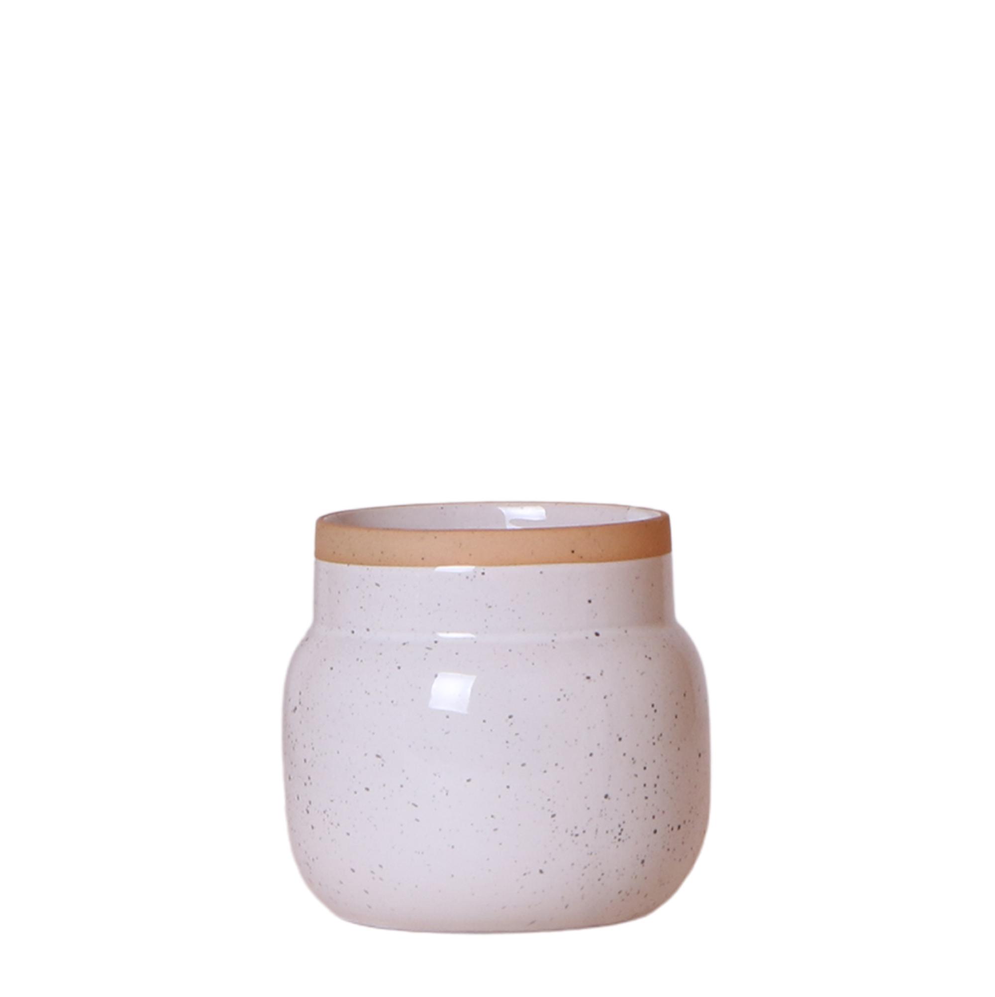 Kolibri Home | Vintage bloempot en pot Ø9cm. Plante verte type Kolibri Home | Vintage bloempot, livrée en pot, idéale pour intérieur lumineux.