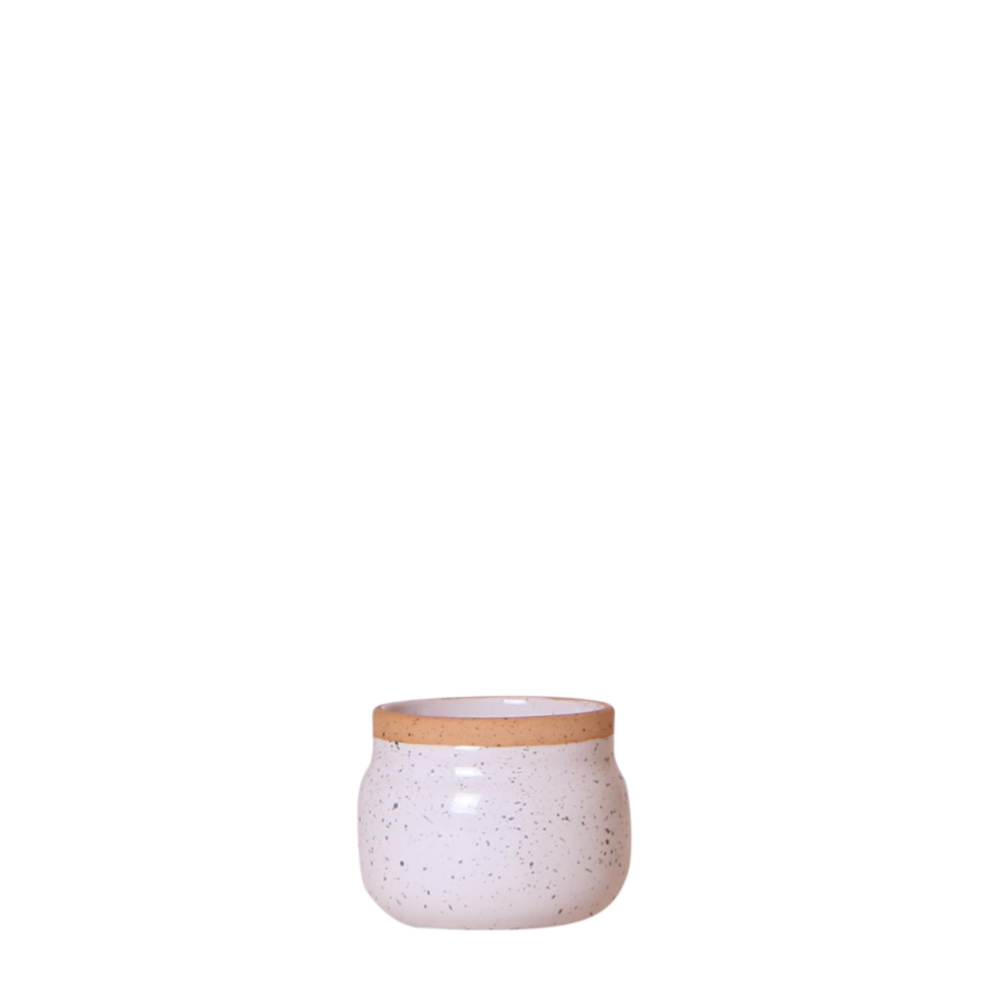 Kolibri Home | Vintage bloempot en pot Ø6cm. Plante verte type Kolibri Home | Vintage bloempot, livrée en pot, idéale pour intérieur lumineux.
