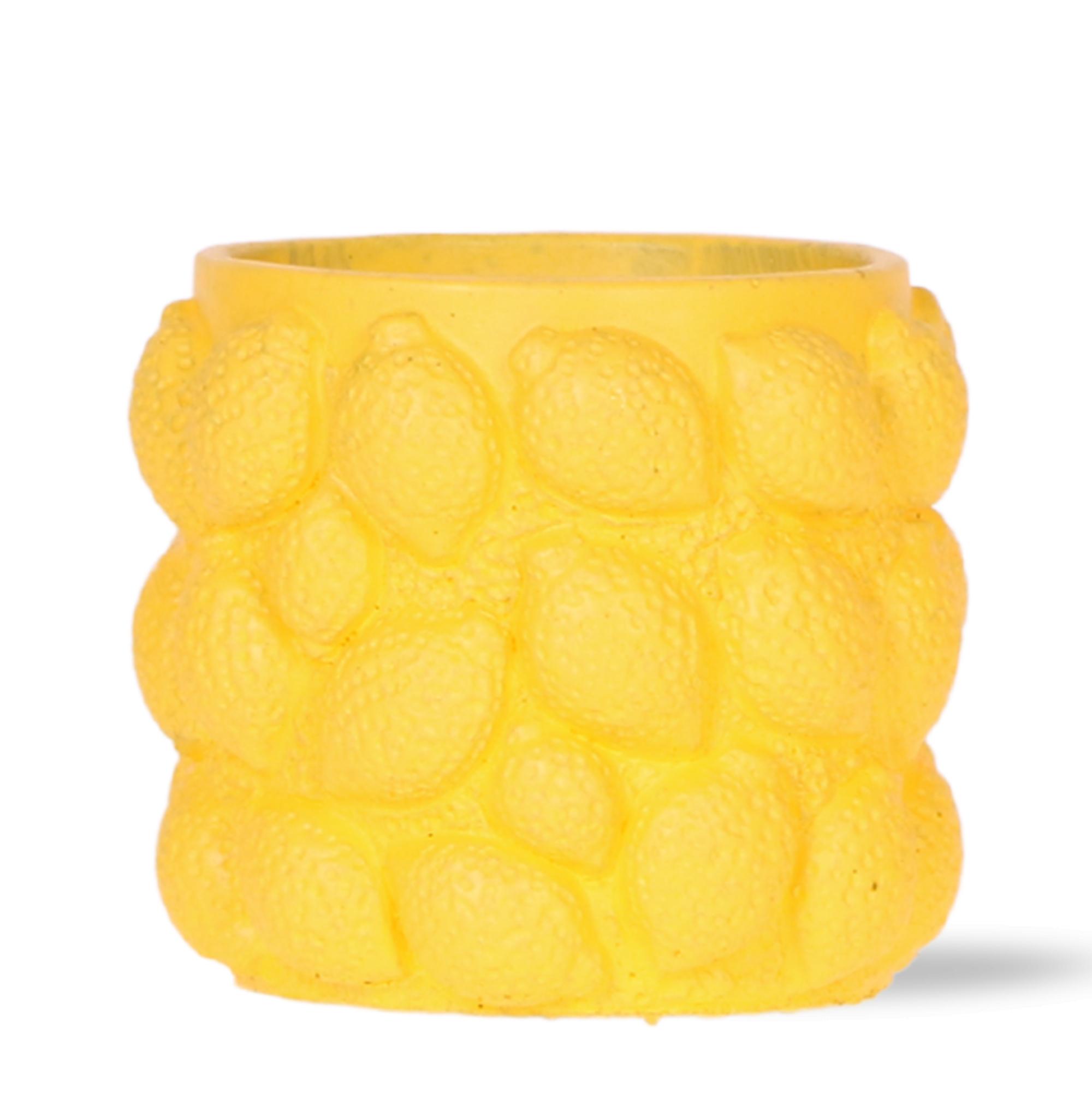 Kolibri Home | Citrus pot yellow en pot Ø9cm. Plante verte type Kolibri Home | Citrus pot yellow, livrée en pot, idéale pour intérieur lumineux.