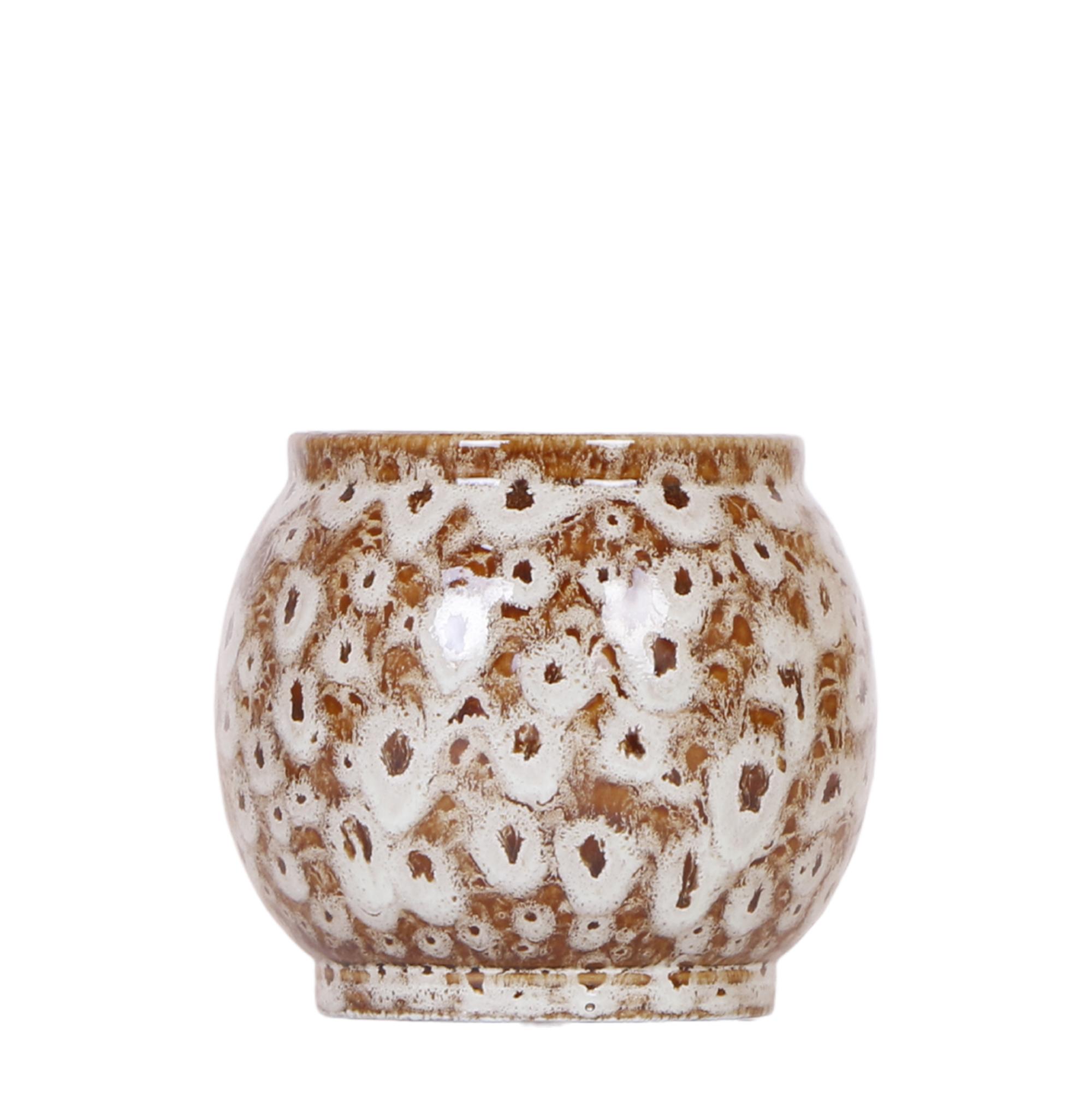 Kolibri Home | Safari pot en pot Ø9cm. Plante verte type Kolibri Home | Safari pot, livrée en pot, idéale pour intérieur lumineux.