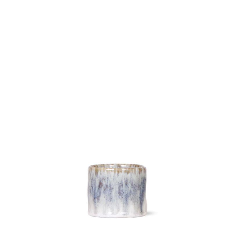 Kolibri Home | Sky pot en pot Ø6cm. Plante verte type Kolibri Home | Sky pot, livrée en pot, idéale pour intérieur lumineux.