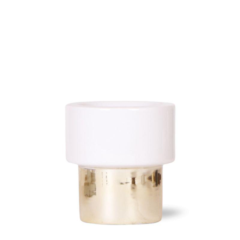 Kolibri Home en pot Ø9cm. Plante verte type Kolibri Home, livrée en pot, idéale pour intérieur lumineux.