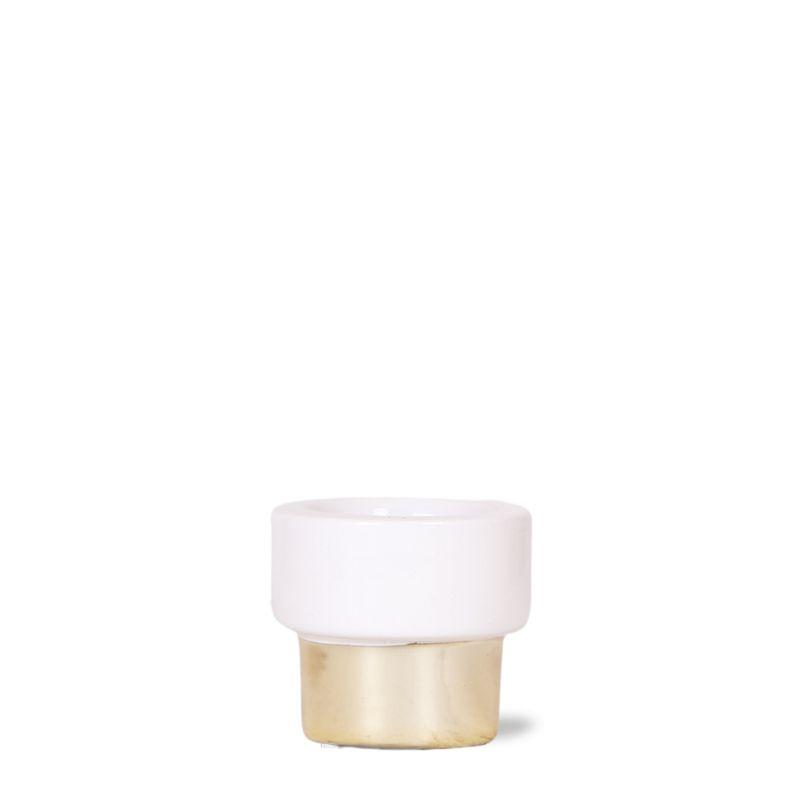 Kolibri Home en pot Ø6cm. Plante verte type Kolibri Home, livrée en pot, idéale pour intérieur lumineux.