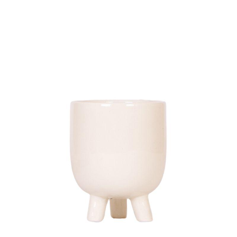 Kolibri Home | Gummy pot travertine en pot Ø9cm. Plante verte type Kolibri Home | Gummy pot travertine, livrée en pot, idéale pour intérieur lumineux.