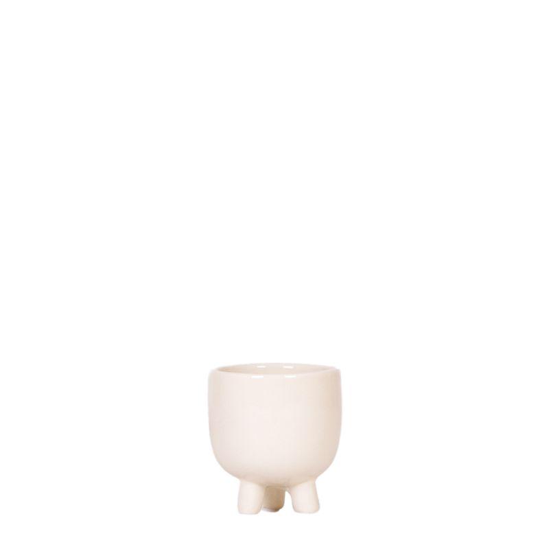 Kolibri Home | Gummy pot travertine en pot Ø6cm. Plante verte type Kolibri Home | Gummy pot travertine, livrée en pot, idéale pour intérieur lumineux.