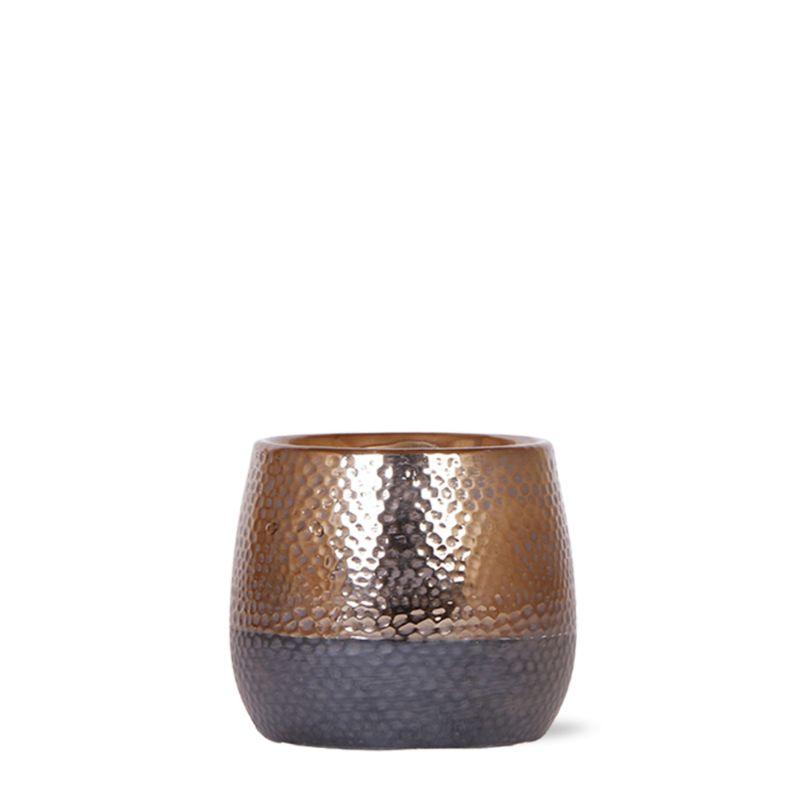Kolibri Home | Elite pot copper en pot Ø9cm. Plante verte type Kolibri Home | Elite pot copper, livrée en pot, idéale pour intérieur lumineux.