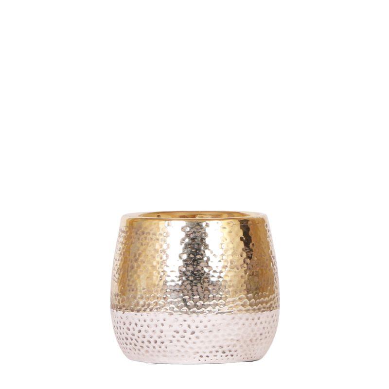 Kolibri Home | Elite pot gold en pot Ø9cm. Plante verte type Kolibri Home | Elite pot gold, livrée en pot, idéale pour intérieur lumineux.