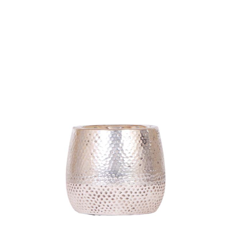 Kolibri Home | Elite silver pot en pot Ø9cm. Plante verte type Kolibri Home | Elite silver pot, livrée en pot, idéale pour intérieur lumineux.