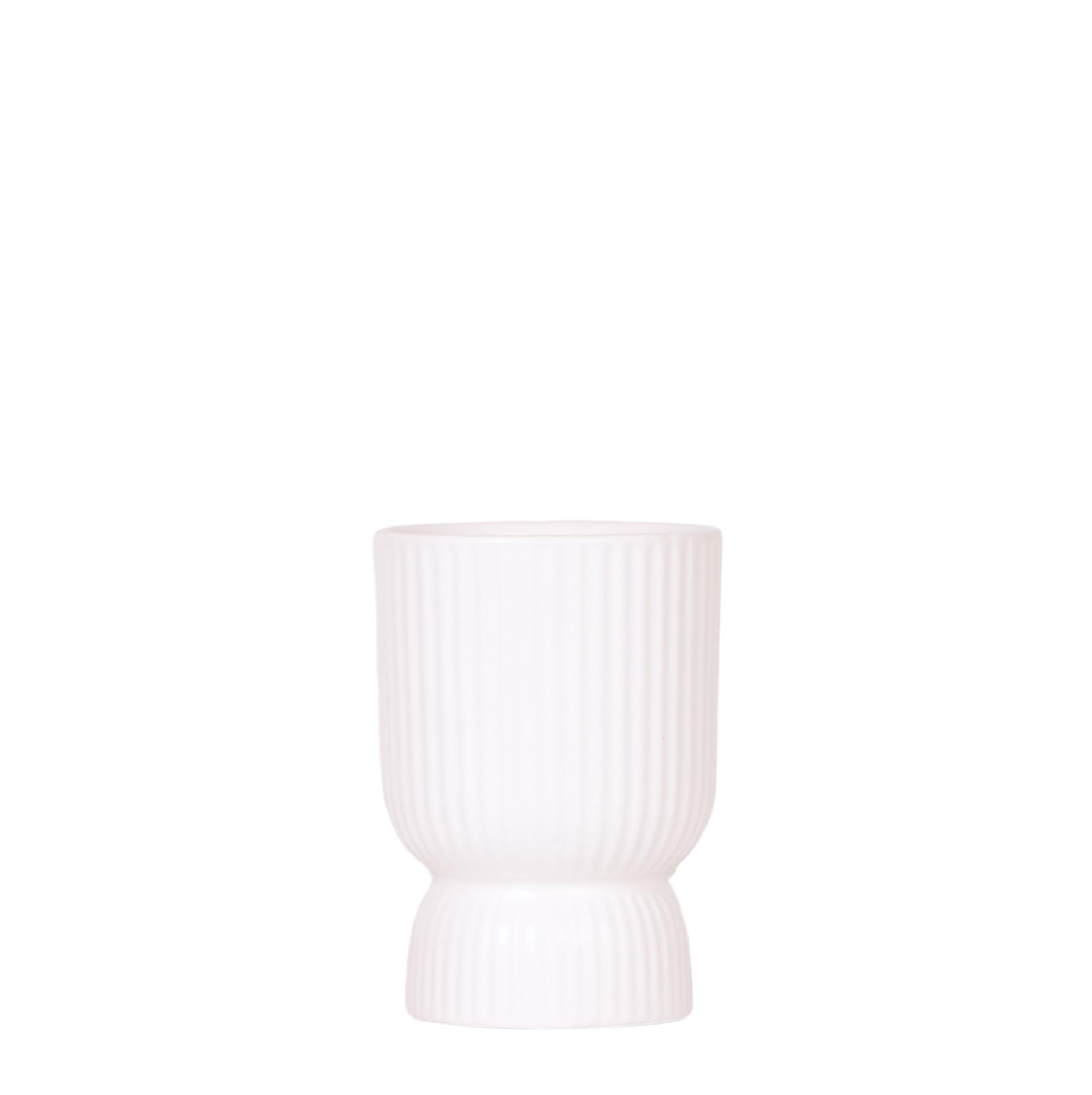 Kolibri Home | Diabolo pot white en pot Ø9cm. Plante verte type Kolibri Home | Diabolo pot white, livrée en pot, idéale pour intérieur lumineux.