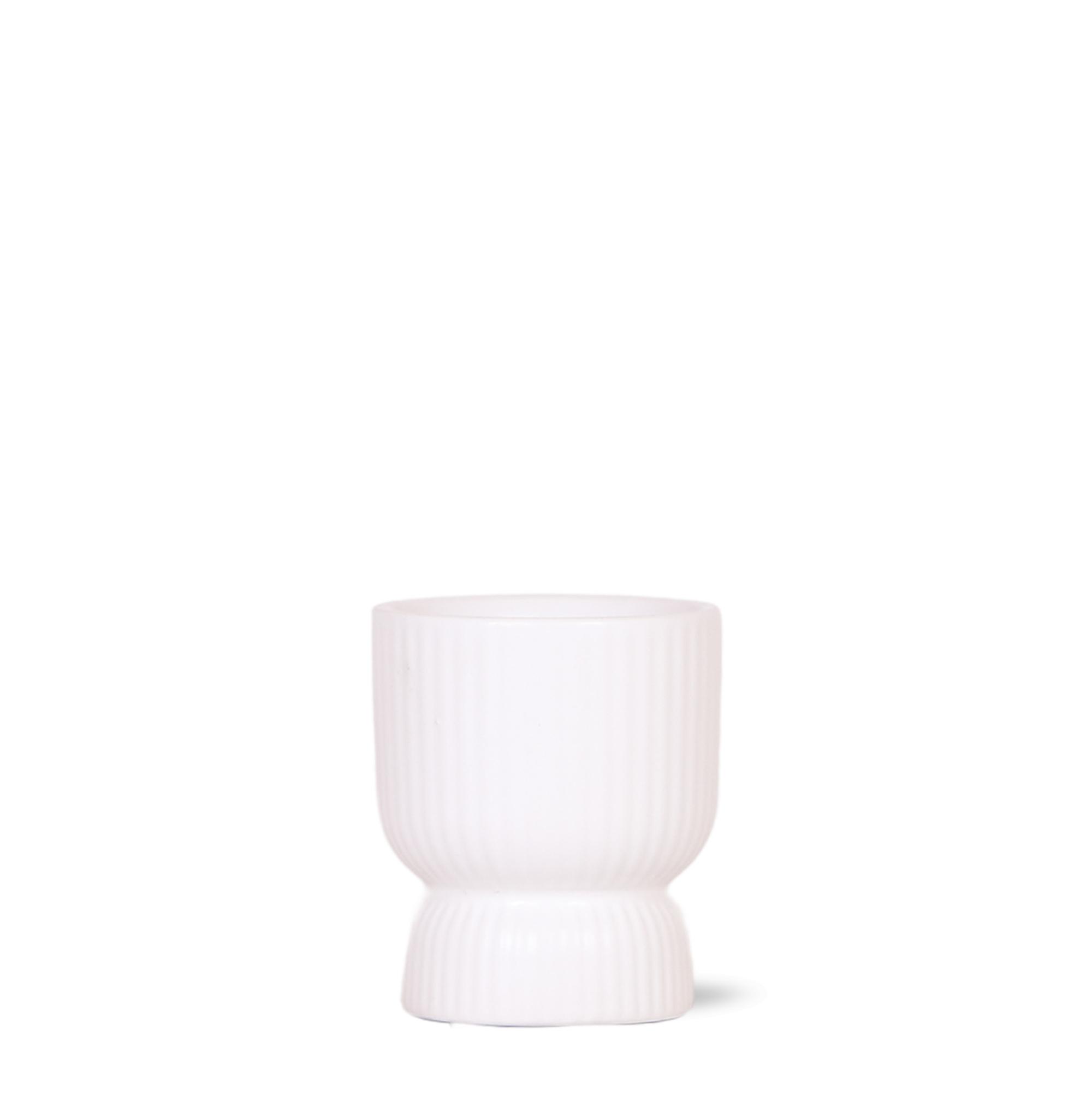 Kolibri Home | Diabolo pot white en pot Ø6cm. Plante verte type Kolibri Home | Diabolo pot white, livrée en pot, idéale pour intérieur lumineux.