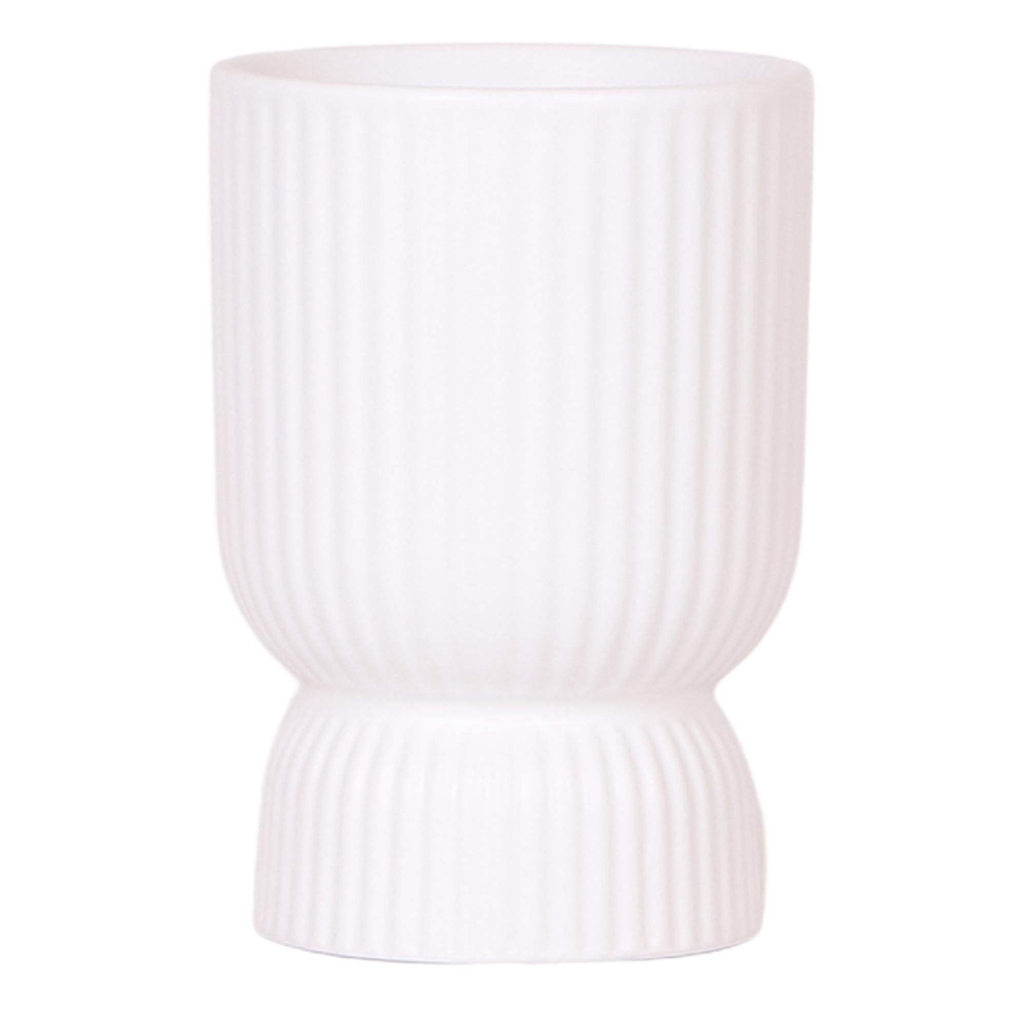 Kolibri Home | Diabolo pot white en pot Ø12cm. Plante verte type Kolibri Home | Diabolo pot white, livrée en pot, idéale pour intérieur lumineux.