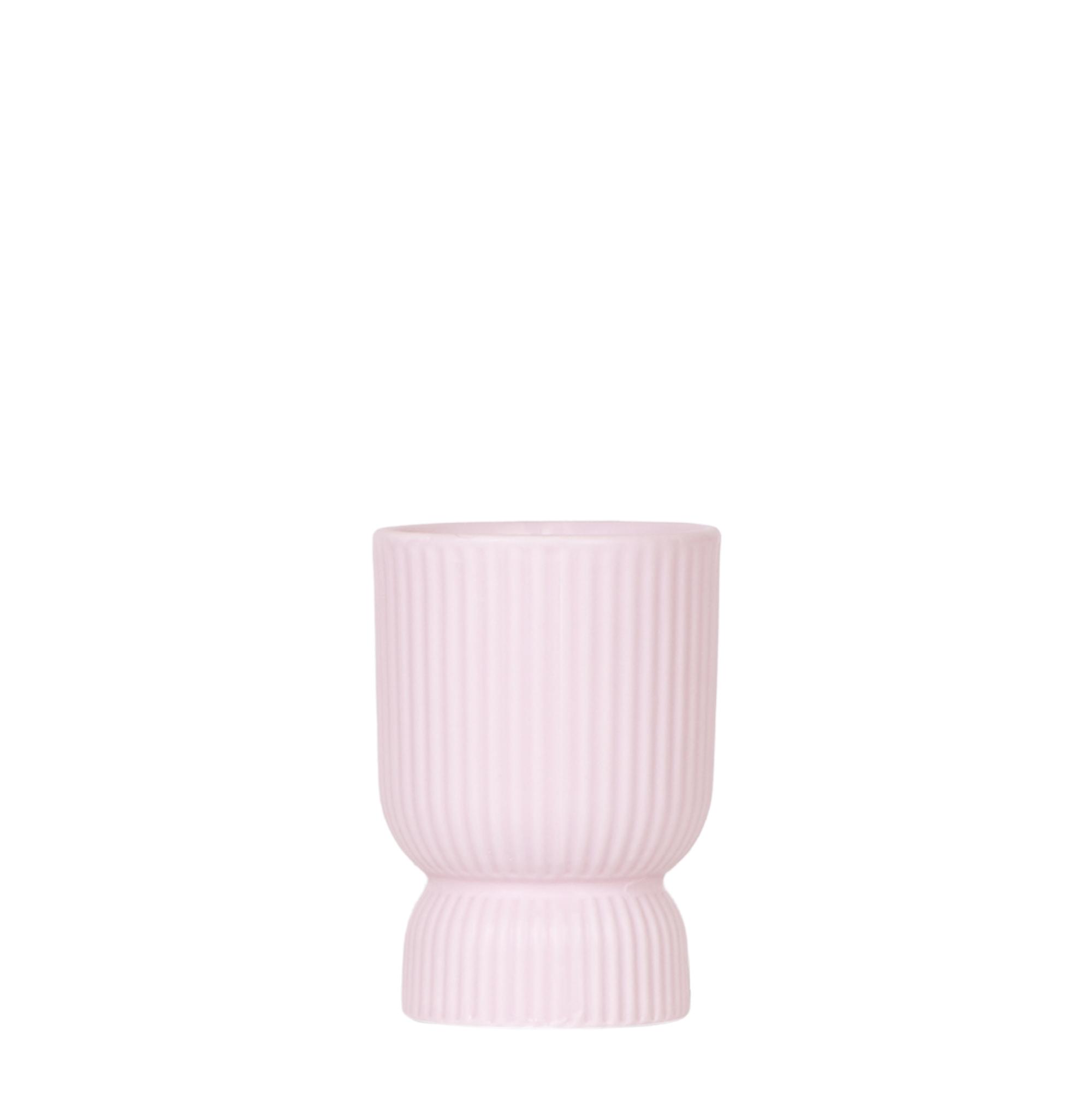 Kolibri Home | Diabolo pot pink en pot Ø9cm. Plante verte type Kolibri Home | Diabolo pot pink, livrée en pot, idéale pour intérieur lumineux.