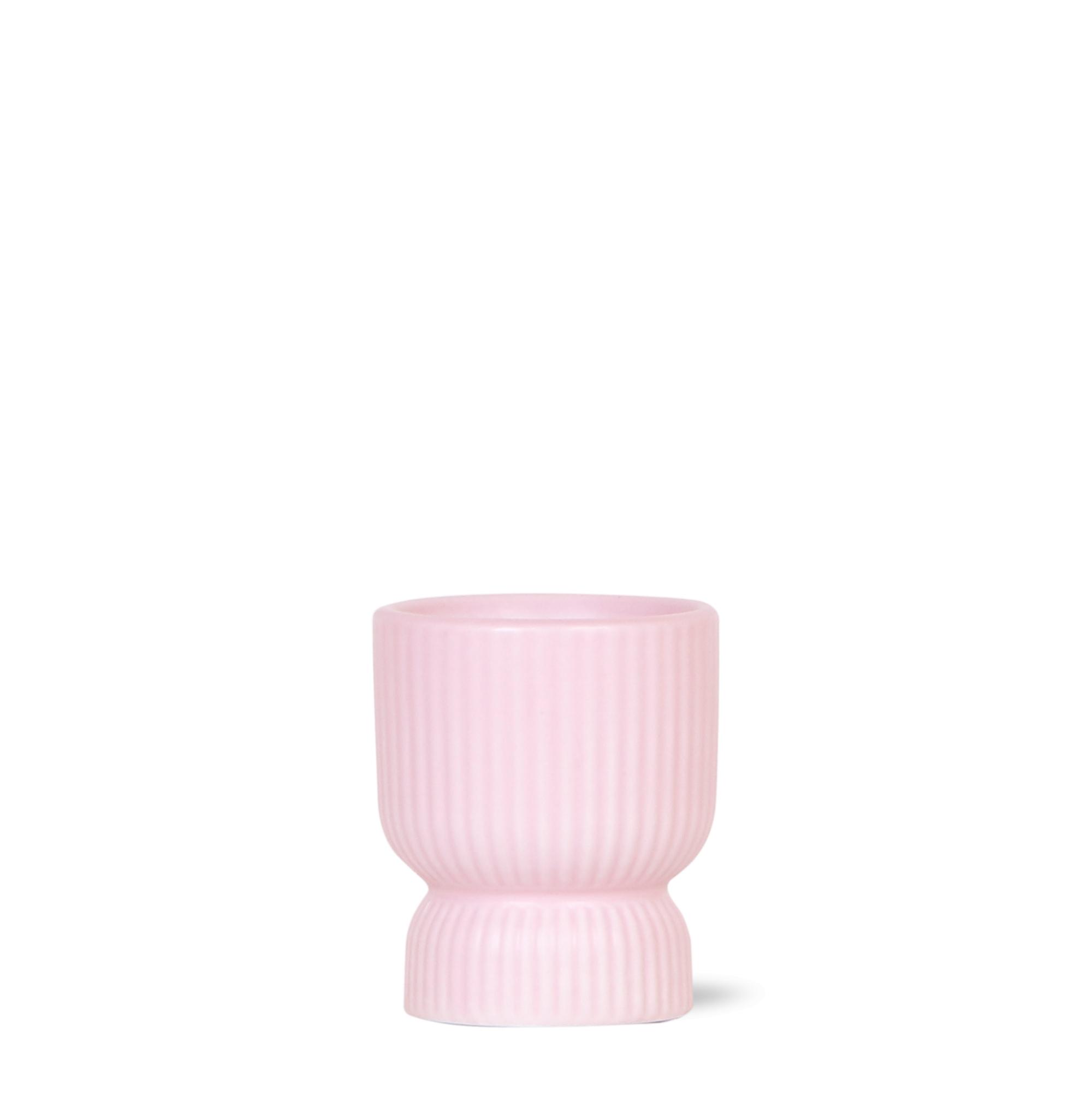 Kolibri Home | Diabolo pot pink en pot Ø6cm. Plante verte type Kolibri Home | Diabolo pot pink, livrée en pot, idéale pour intérieur lumineux.