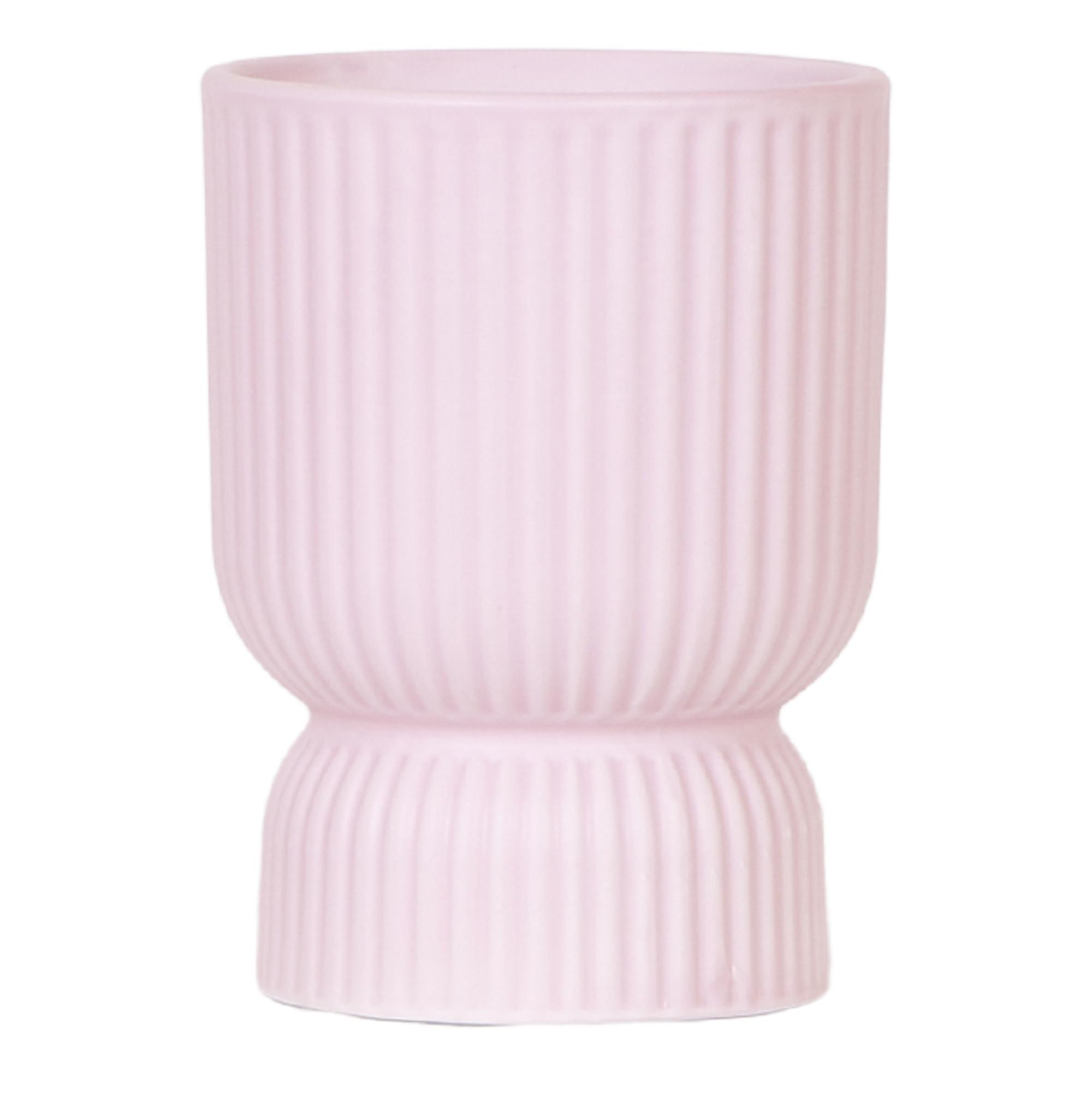 Kolibri Home | Diabolo pot pink en pot Ø12cm. Plante verte type Kolibri Home | Diabolo pot pink, livrée en pot, idéale pour intérieur lumineux.