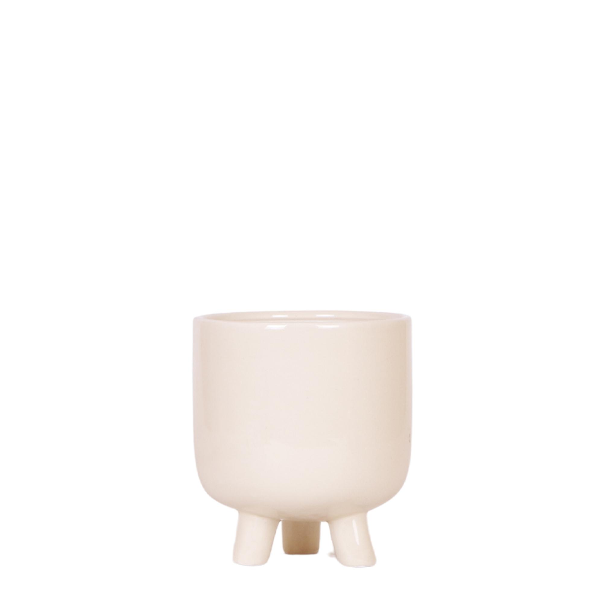 Kolibri Home | Gummy pot travertine en pot Ø12cm. Plante verte type Kolibri Home | Gummy pot travertine, livrée en pot, idéale pour intérieur lumineux.