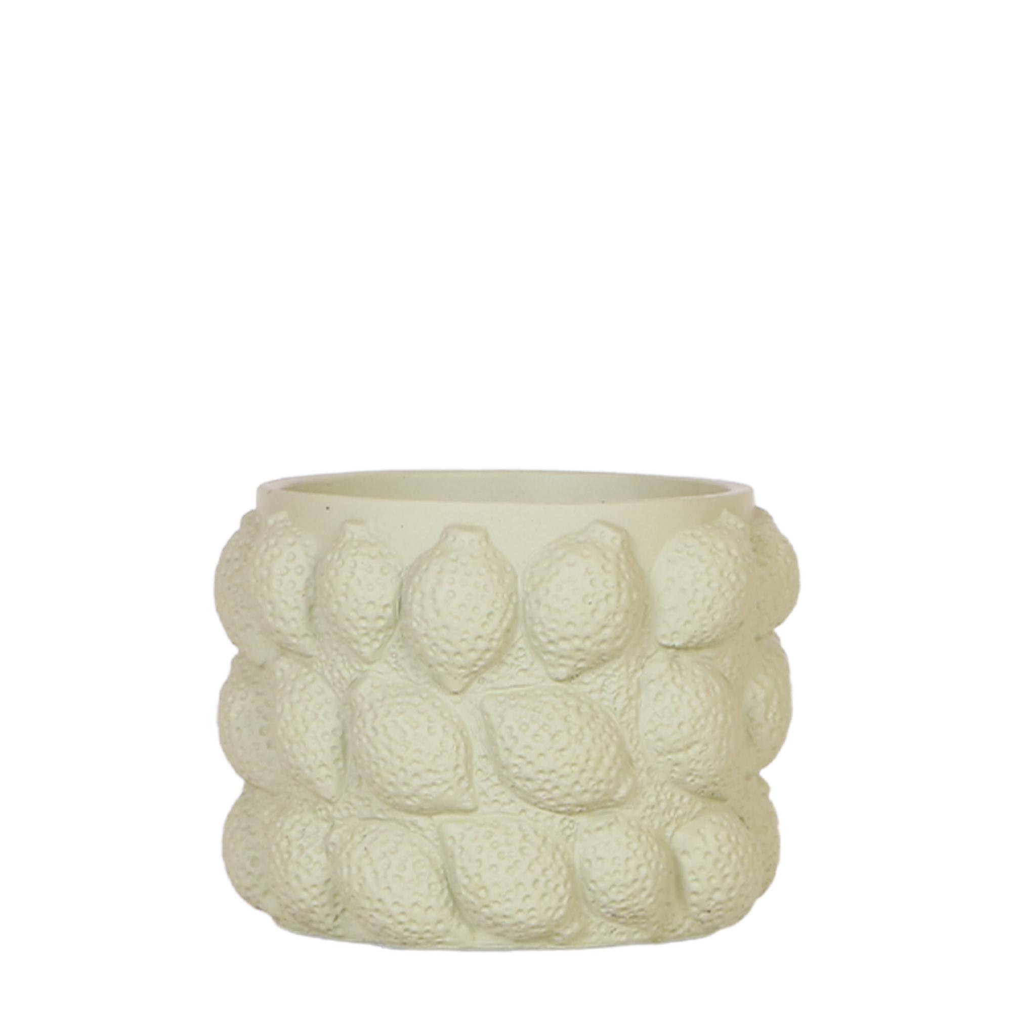 Kolibri Home | Citrus pot groen en pot Ø12cm. Plante verte type Kolibri Home | Citrus pot groen, livrée en pot, idéale pour intérieur lumineux.