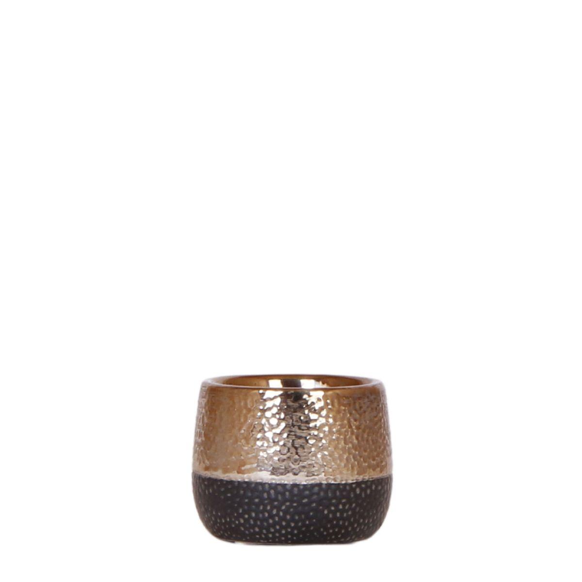 Kolibri Home | Elite pot copper en pot Ø6cm. Plante verte type Kolibri Home | Elite pot copper, livrée en pot, idéale pour intérieur lumineux.