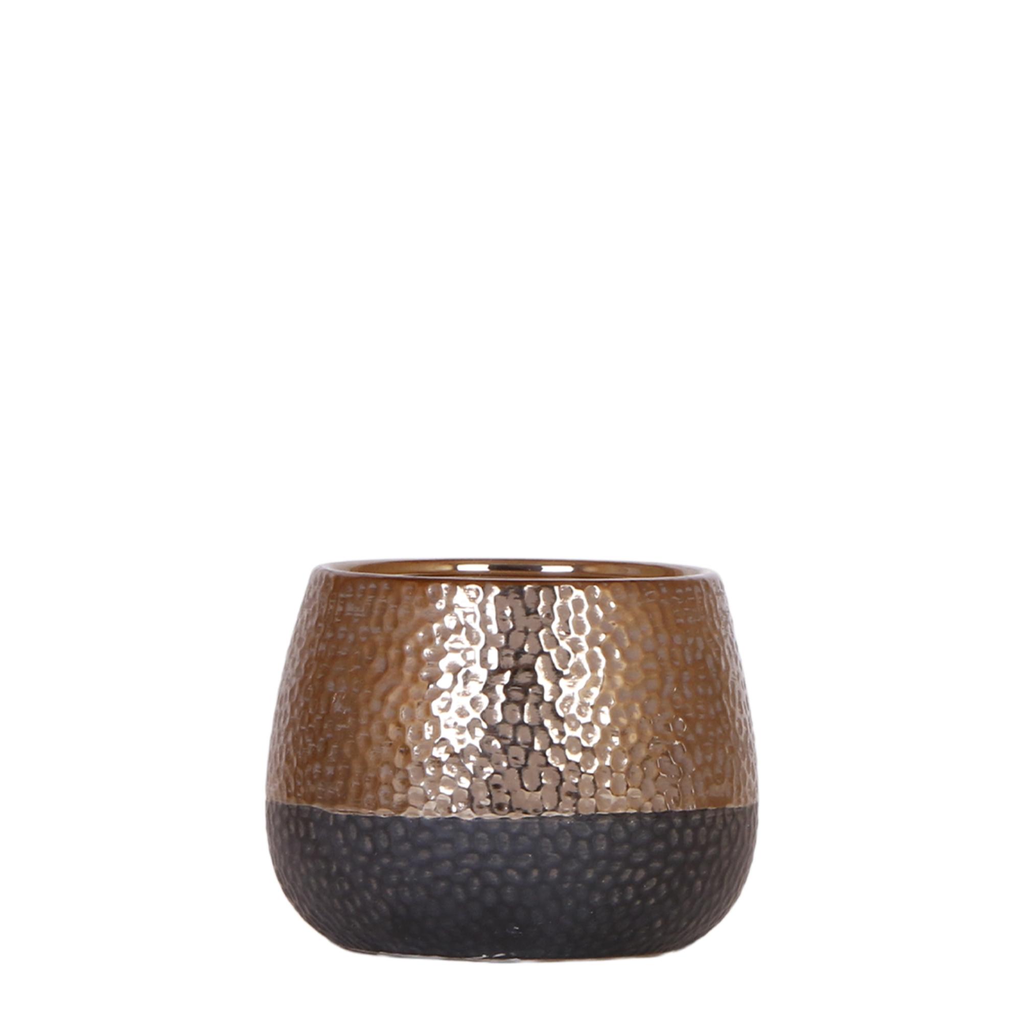 Kolibri Home | Elite pot copper en pot Ø12cm. Plante verte type Kolibri Home | Elite pot copper, livrée en pot, idéale pour intérieur lumineux.