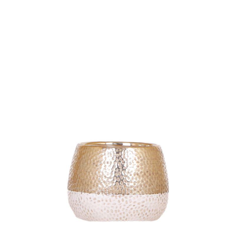 Kolibri Home | Elite pot gold en pot Ø12cm. Plante verte type Kolibri Home | Elite pot gold, livrée en pot, idéale pour intérieur lumineux.