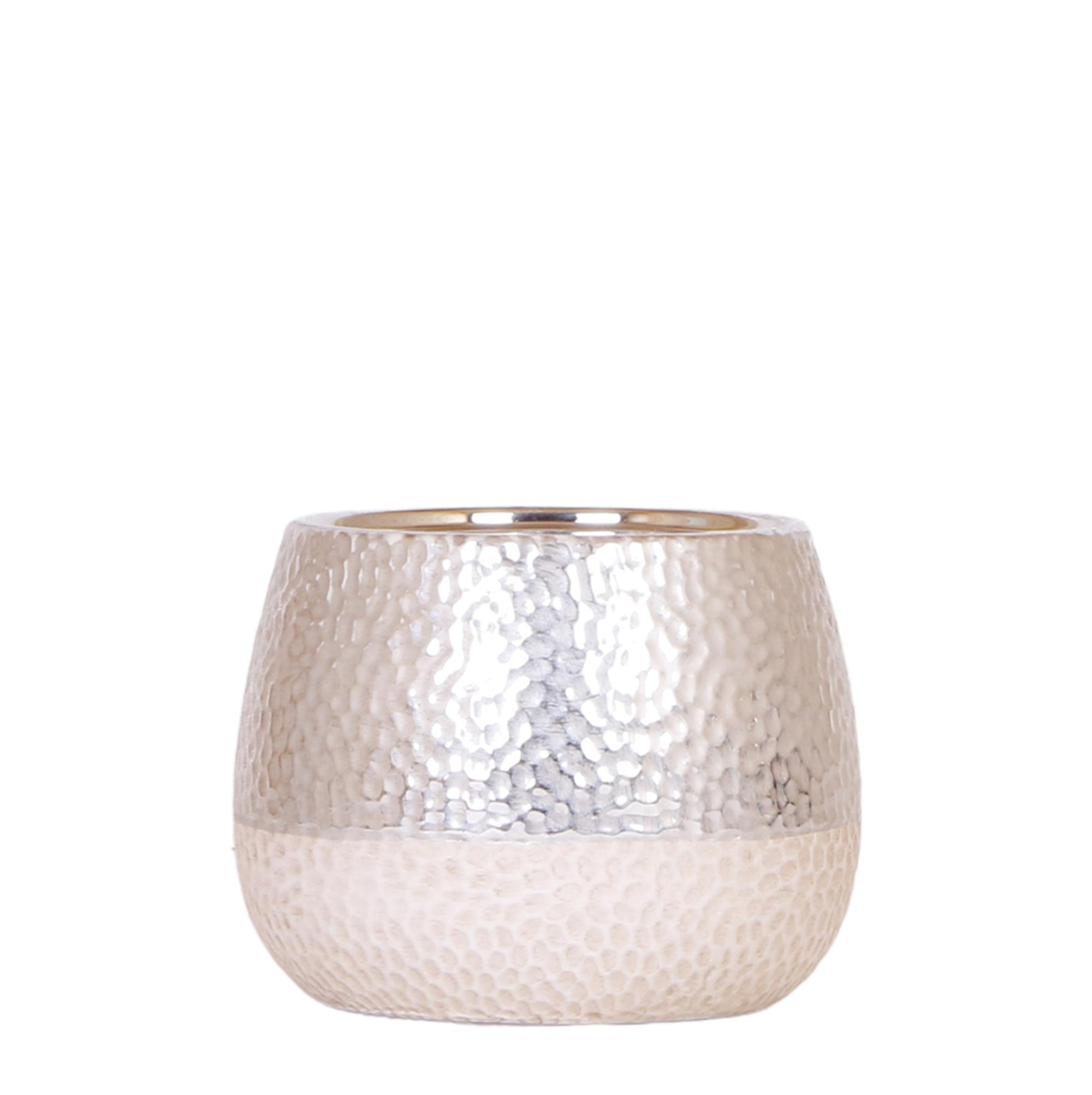 Kolibri Home | Elite silver pot en pot Ø12cm. Plante verte type Kolibri Home | Elite silver pot, livrée en pot, idéale pour intérieur lumineux.