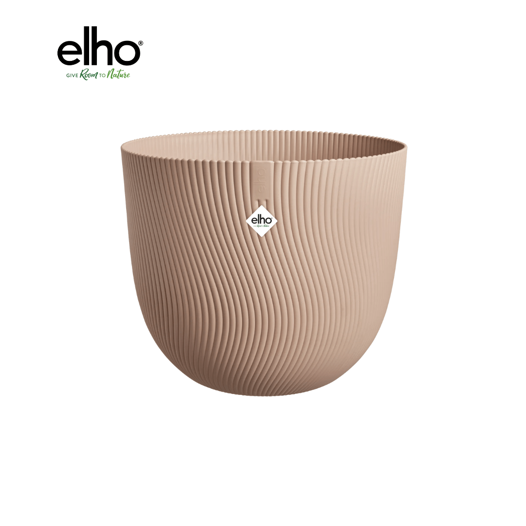 Pot elho Sereh D30 x H25 koele kei en pot  Hauteur 25cm. Plante verte type Pot elho Sereh D30 x H25 koele kei, livrée en pot, idéale pour intérieur lumineux.