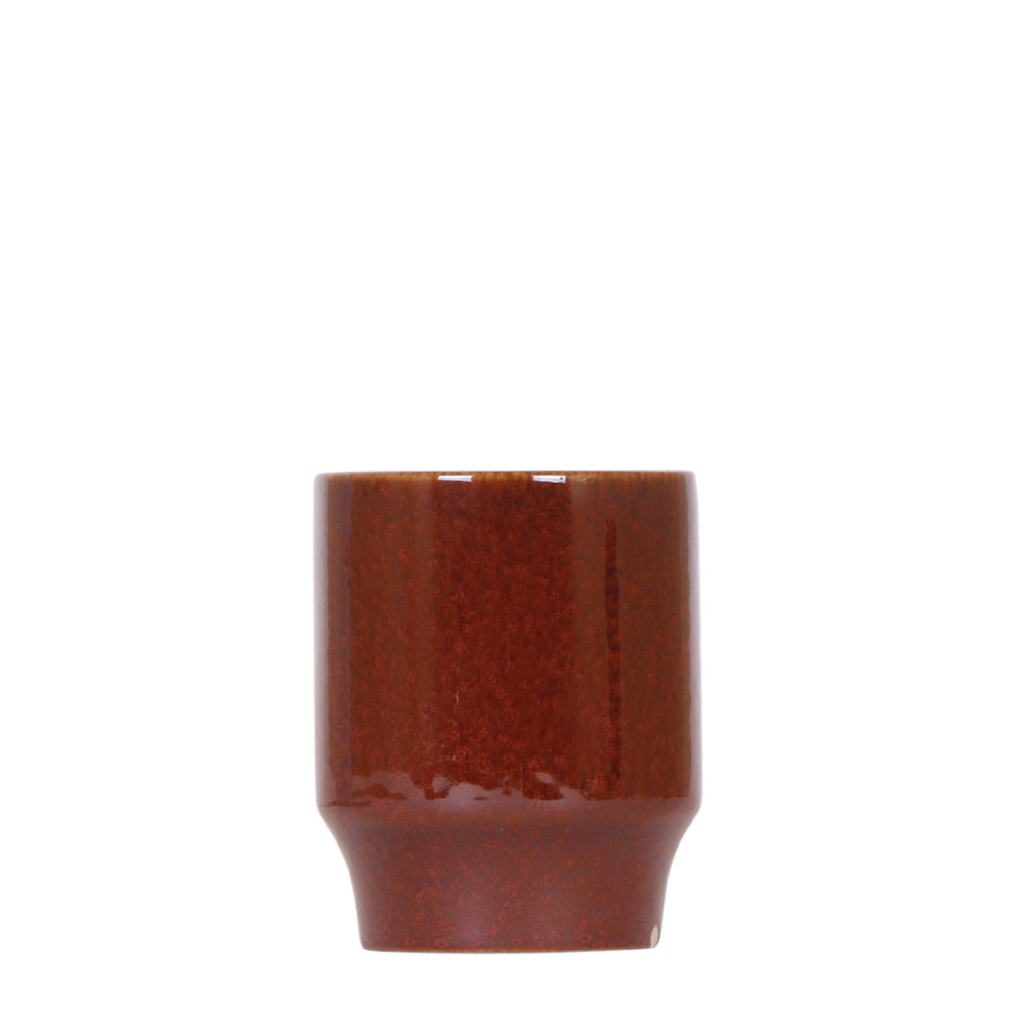 Kolibri Home | Classy red en pot Ø9cm. Plante verte type Kolibri Home | Classy red, livrée en pot, idéale pour intérieur lumineux.
