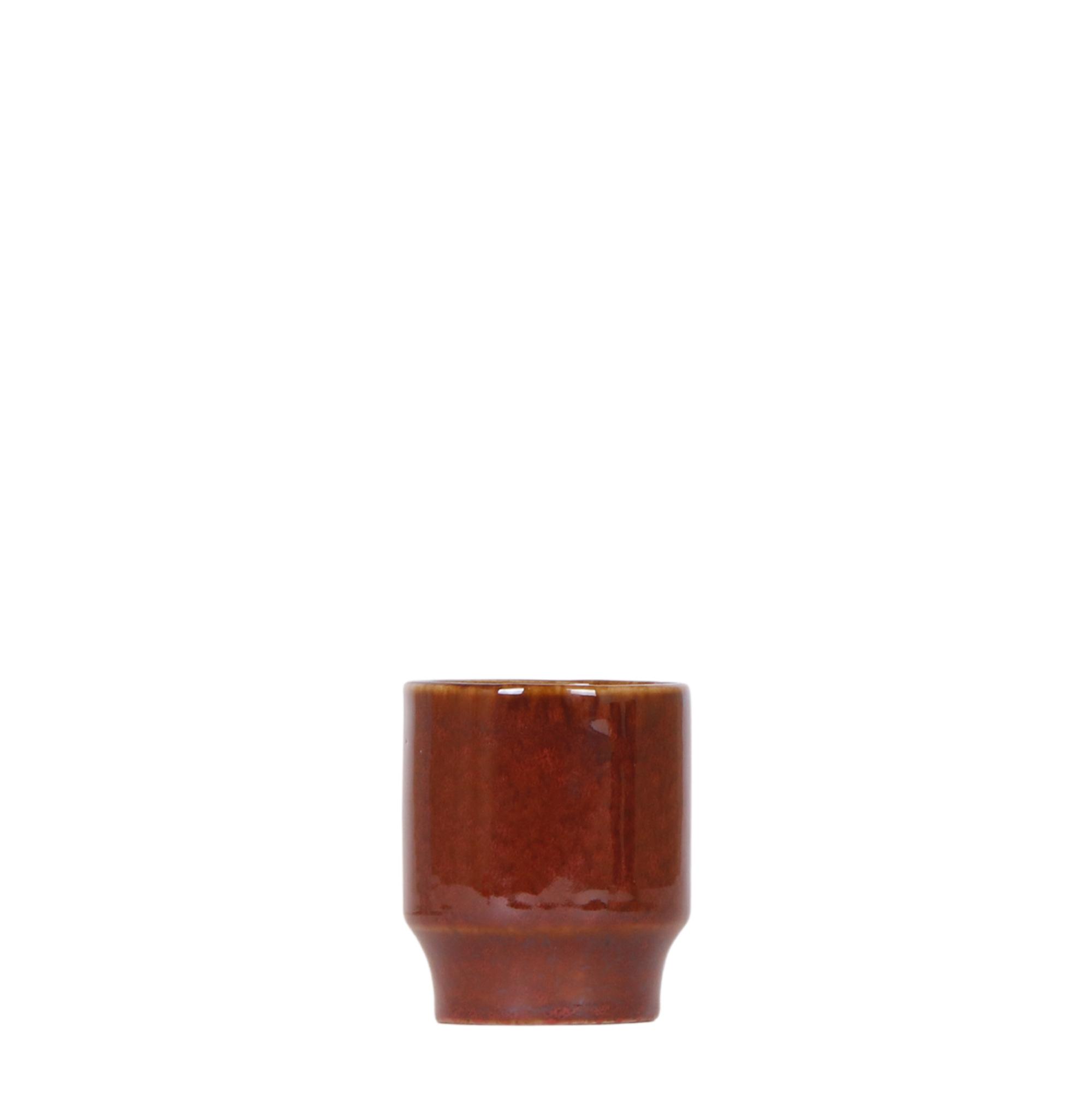 Kolibri Home | Classy red en pot Ø6cm. Plante verte type Kolibri Home | Classy red, livrée en pot, idéale pour intérieur lumineux.