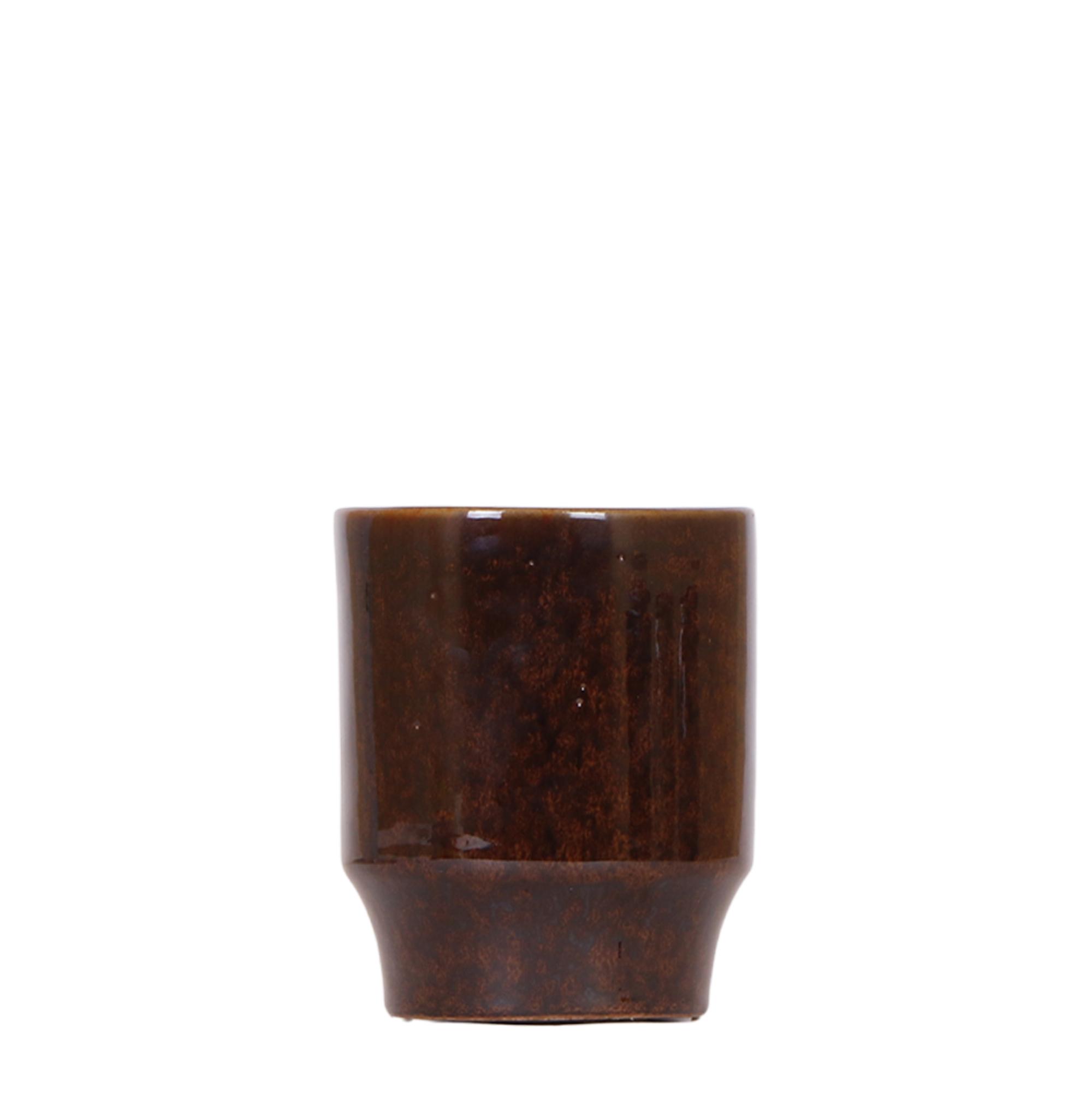 Kolibri Home | Classy brown en pot Ø9cm. Plante verte type Kolibri Home | Classy brown, livrée en pot, idéale pour intérieur lumineux.