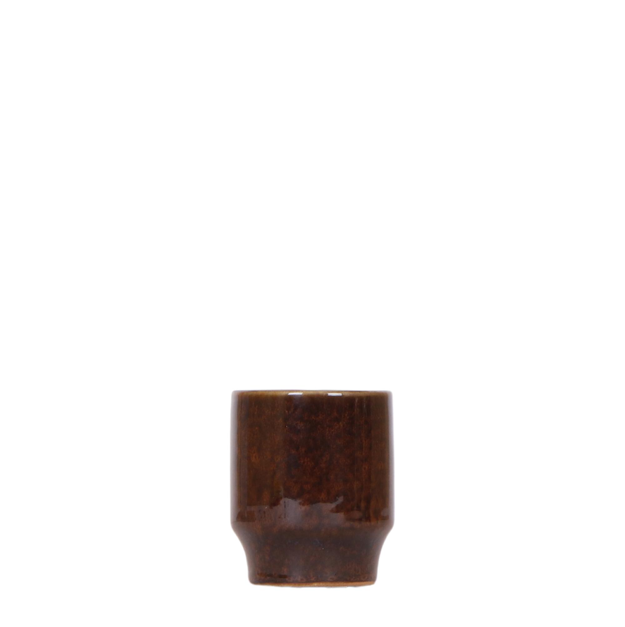 Kolibri Home | Classy brown en pot Ø6cm. Plante verte type Kolibri Home | Classy brown, livrée en pot, idéale pour intérieur lumineux.