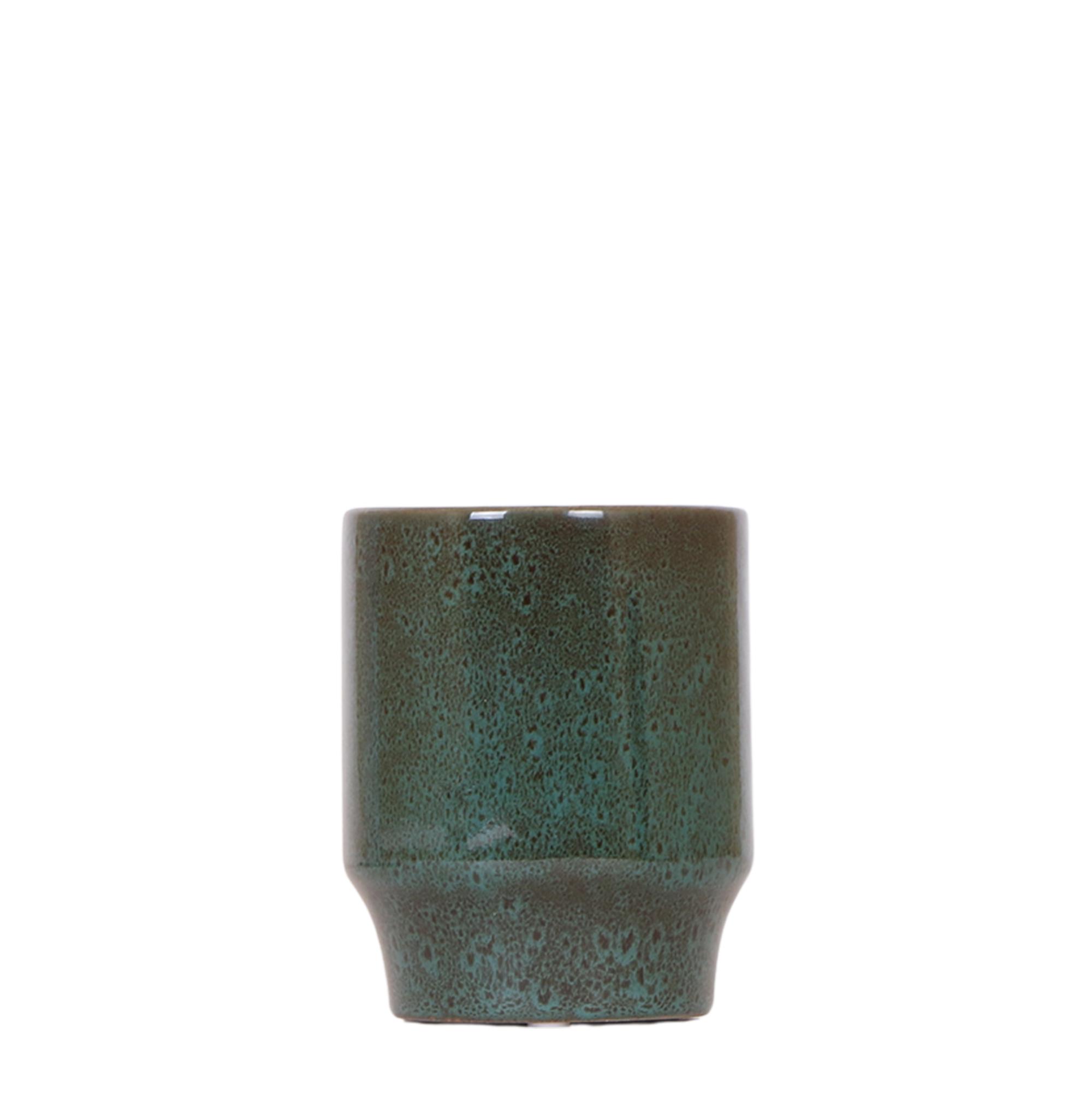 Kolibri Home | Classy green en pot Ø9cm. Plante verte type Kolibri Home | Classy green, livrée en pot, idéale pour intérieur lumineux.