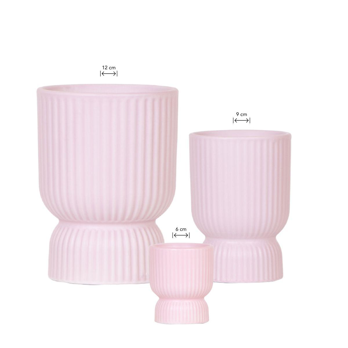Kolibri Home | Combi deal en pot. Plante verte type Kolibri Home | Combi deal, livrée en pot, idéale pour intérieur lumineux.